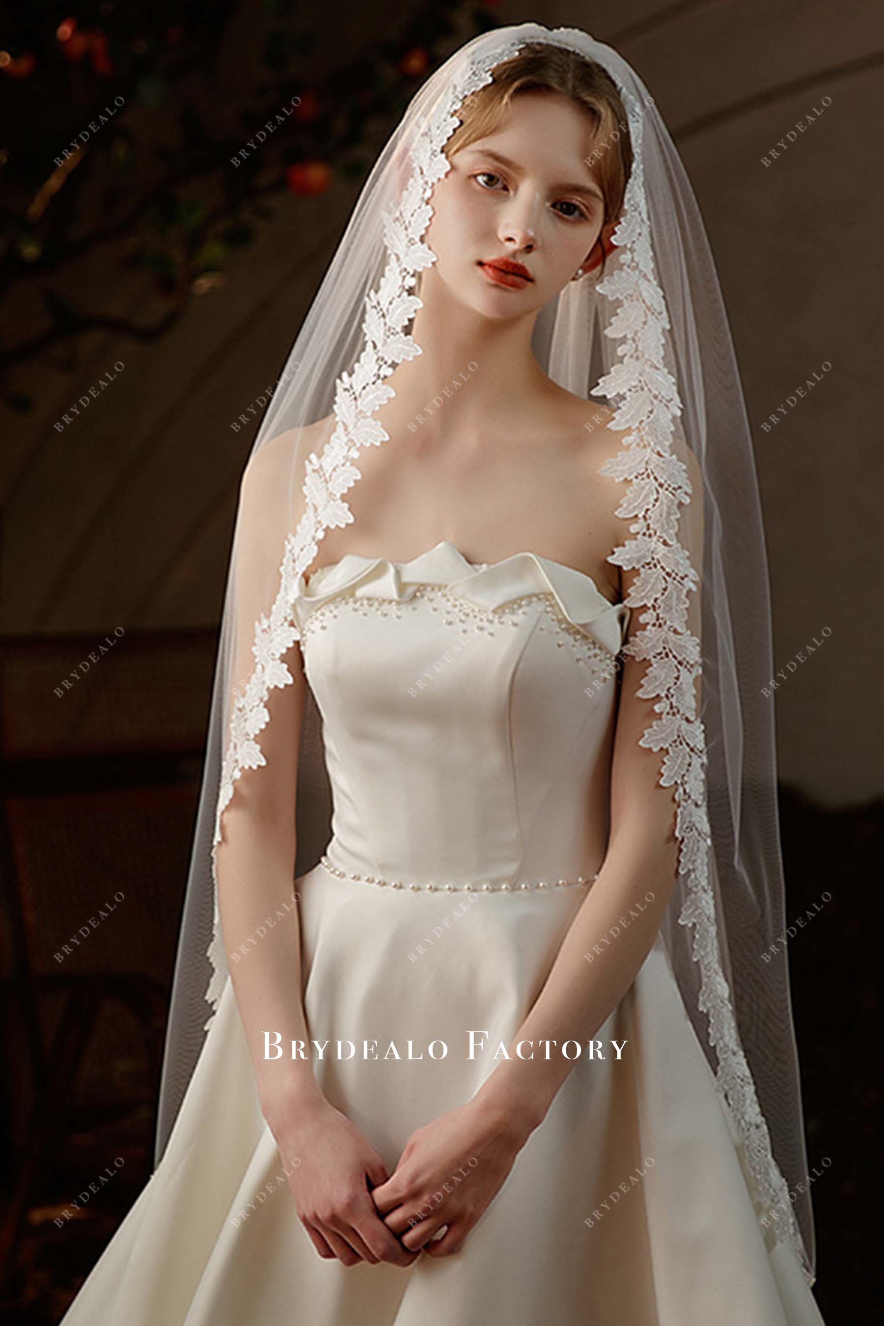 lace edge tulle wedding veil