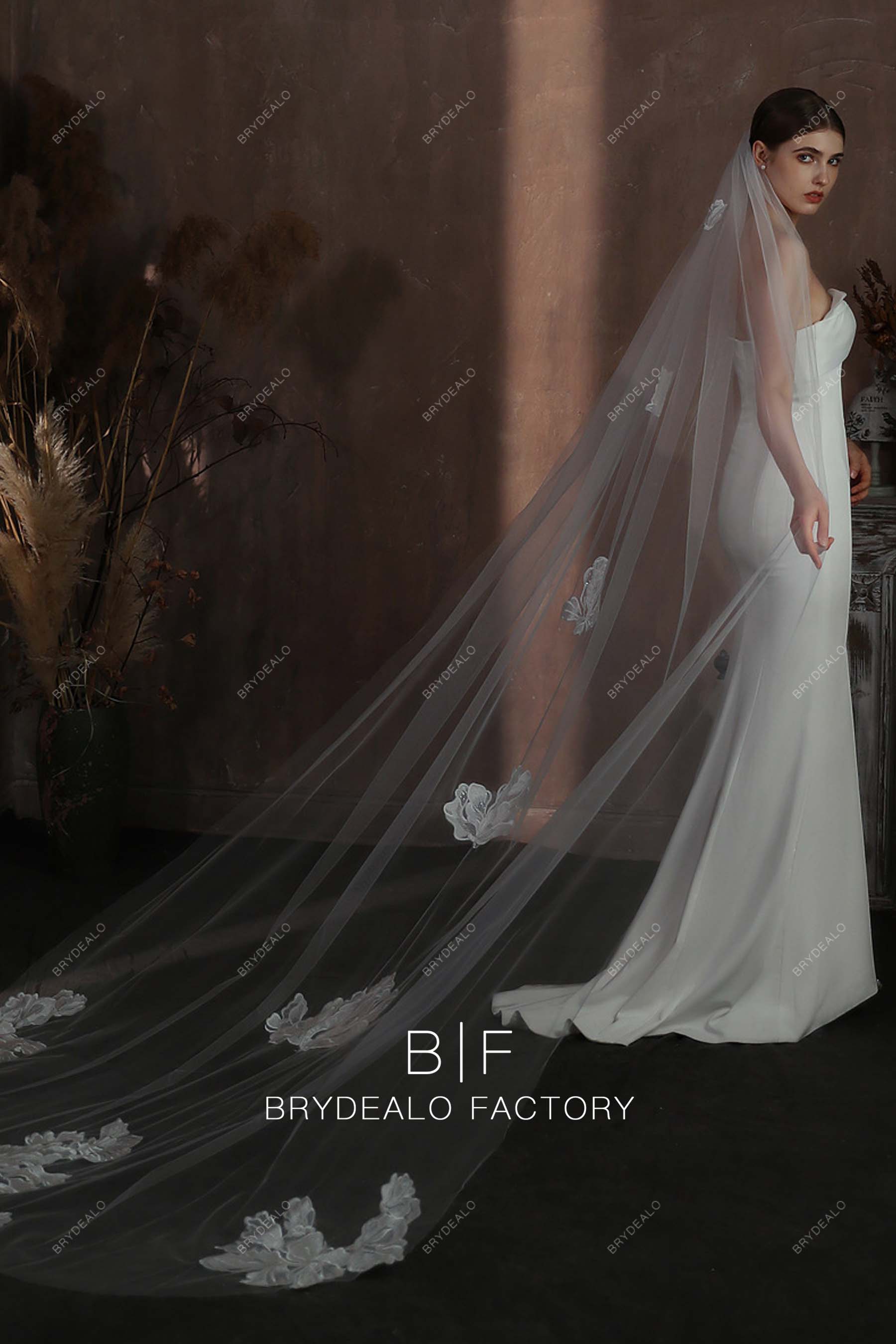 http://brydealofactory.com/cdn/shop/files/cathedral-length-appliques-scattered-wedding-veil-08189.jpg?v=1697698152&width=2048