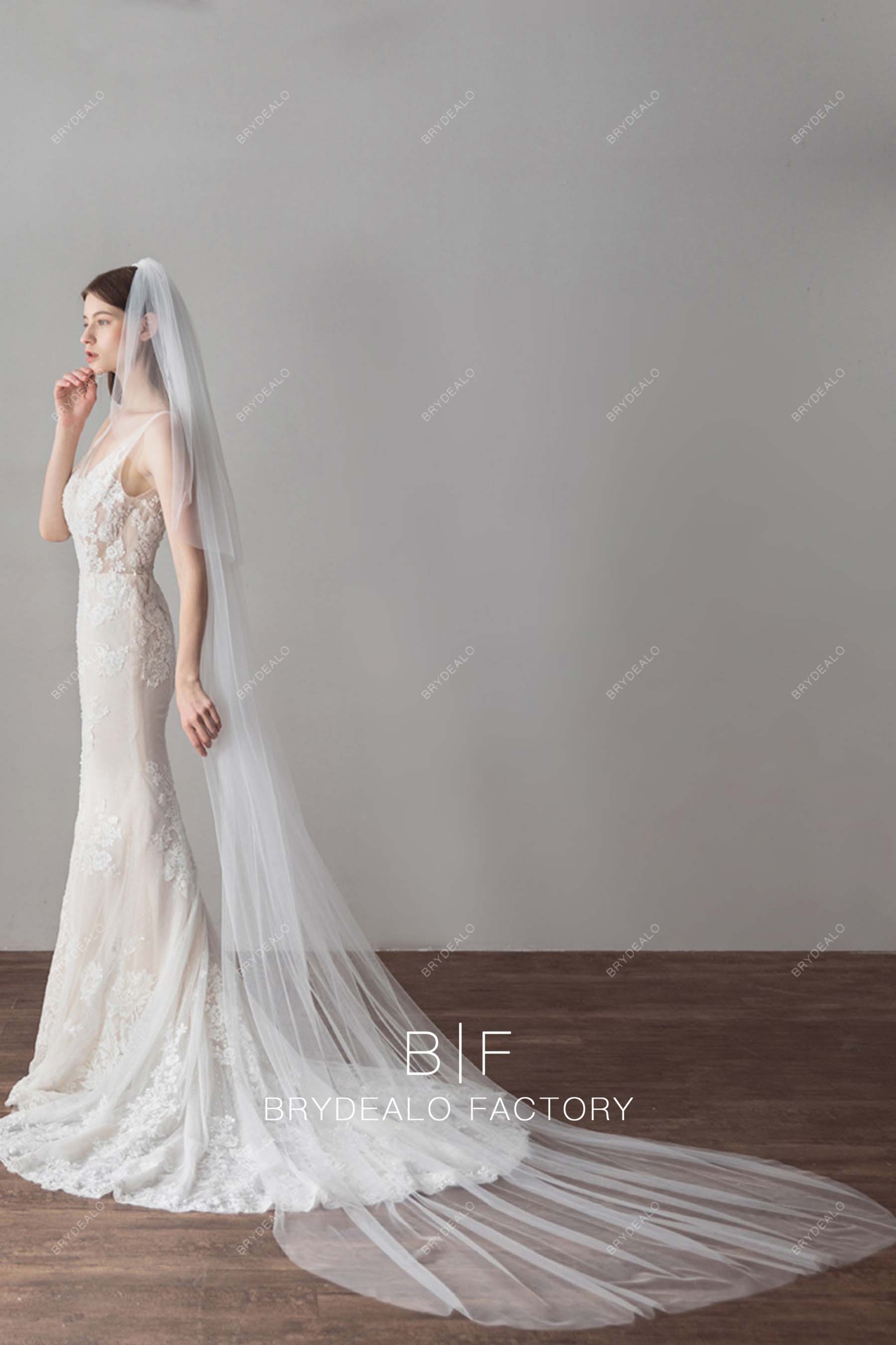 Cathedral Length Elegant Two Tiered Bridal Veil