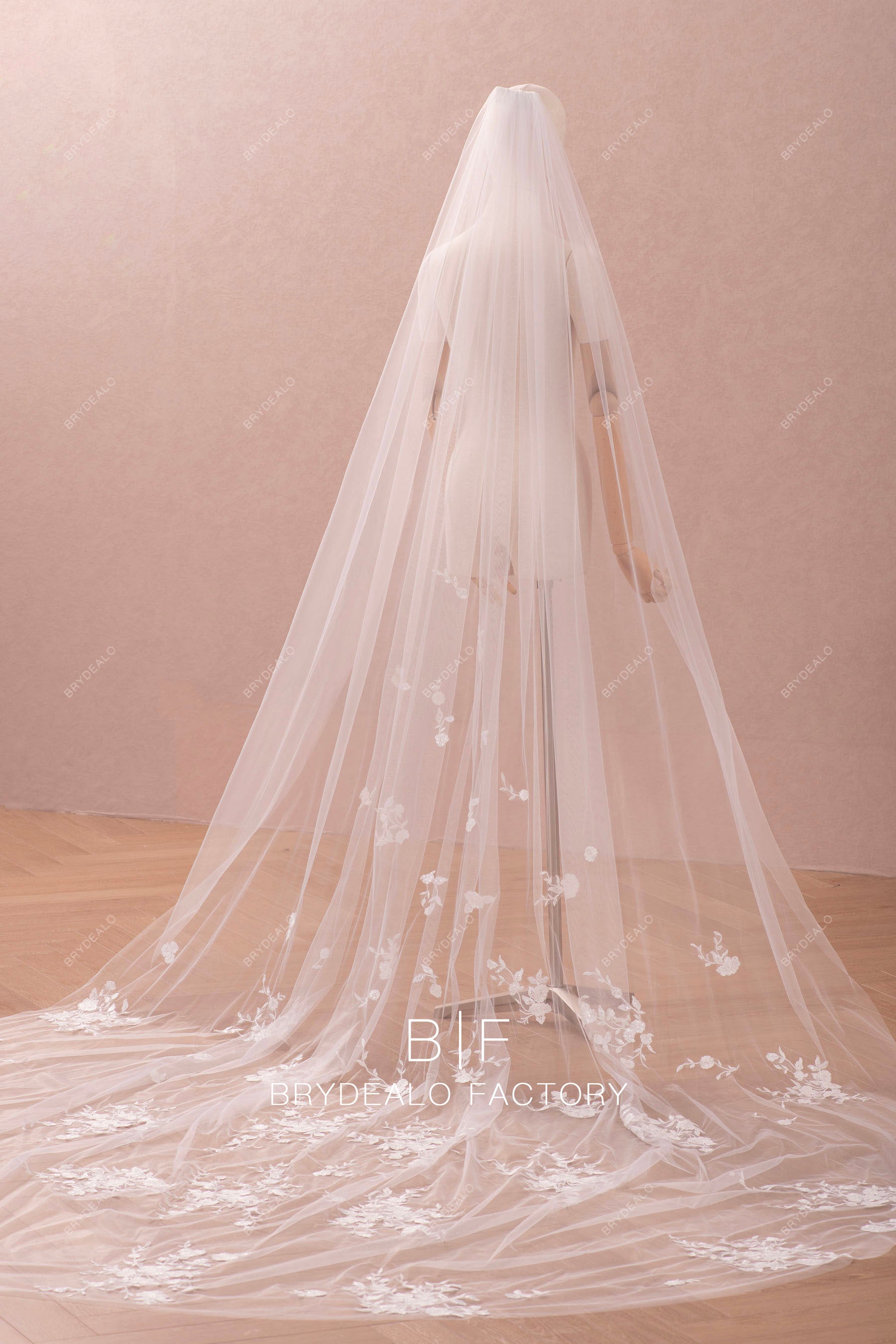 cathedral length shimmery lace veil