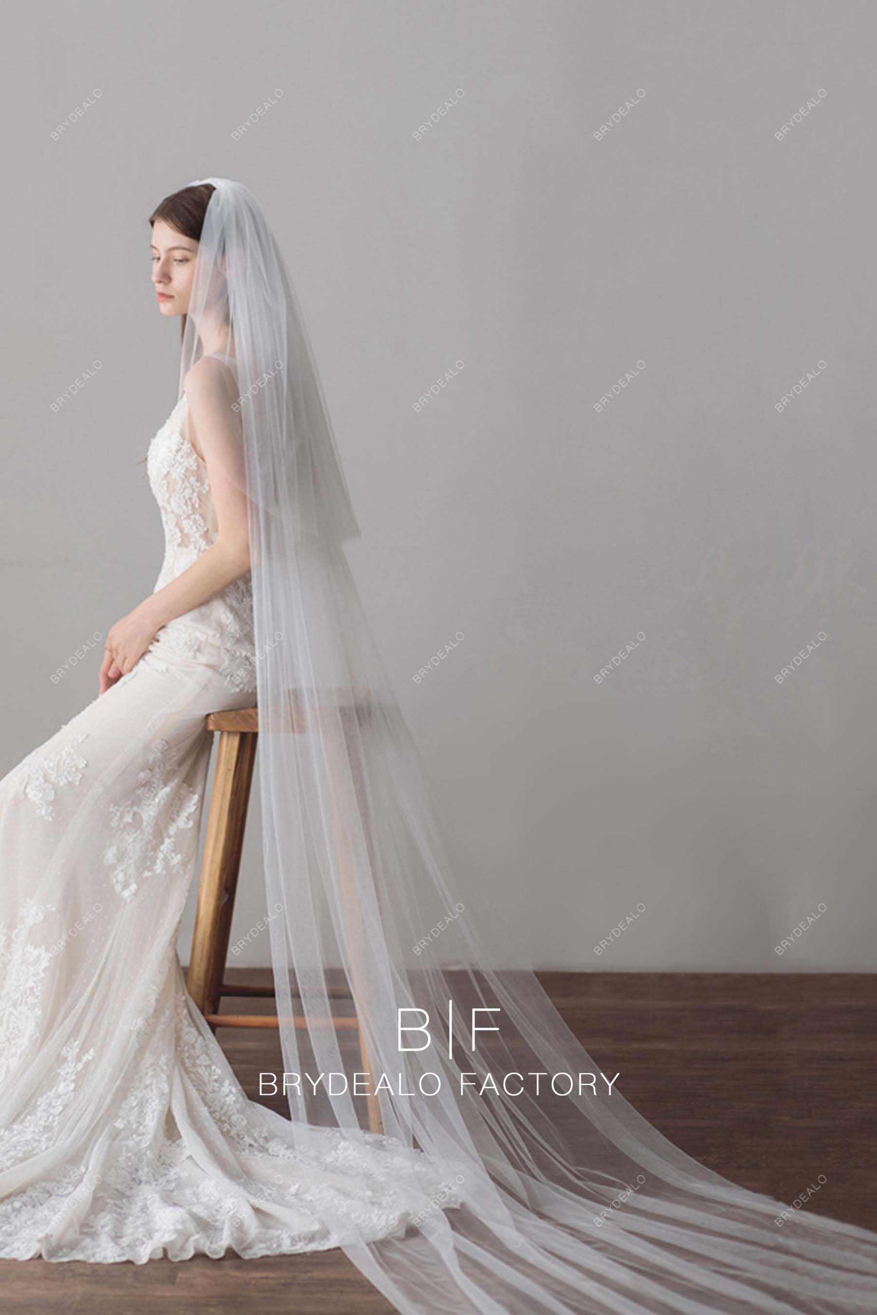 Simple Plain Tulle Cathedral Length Bridal Veil