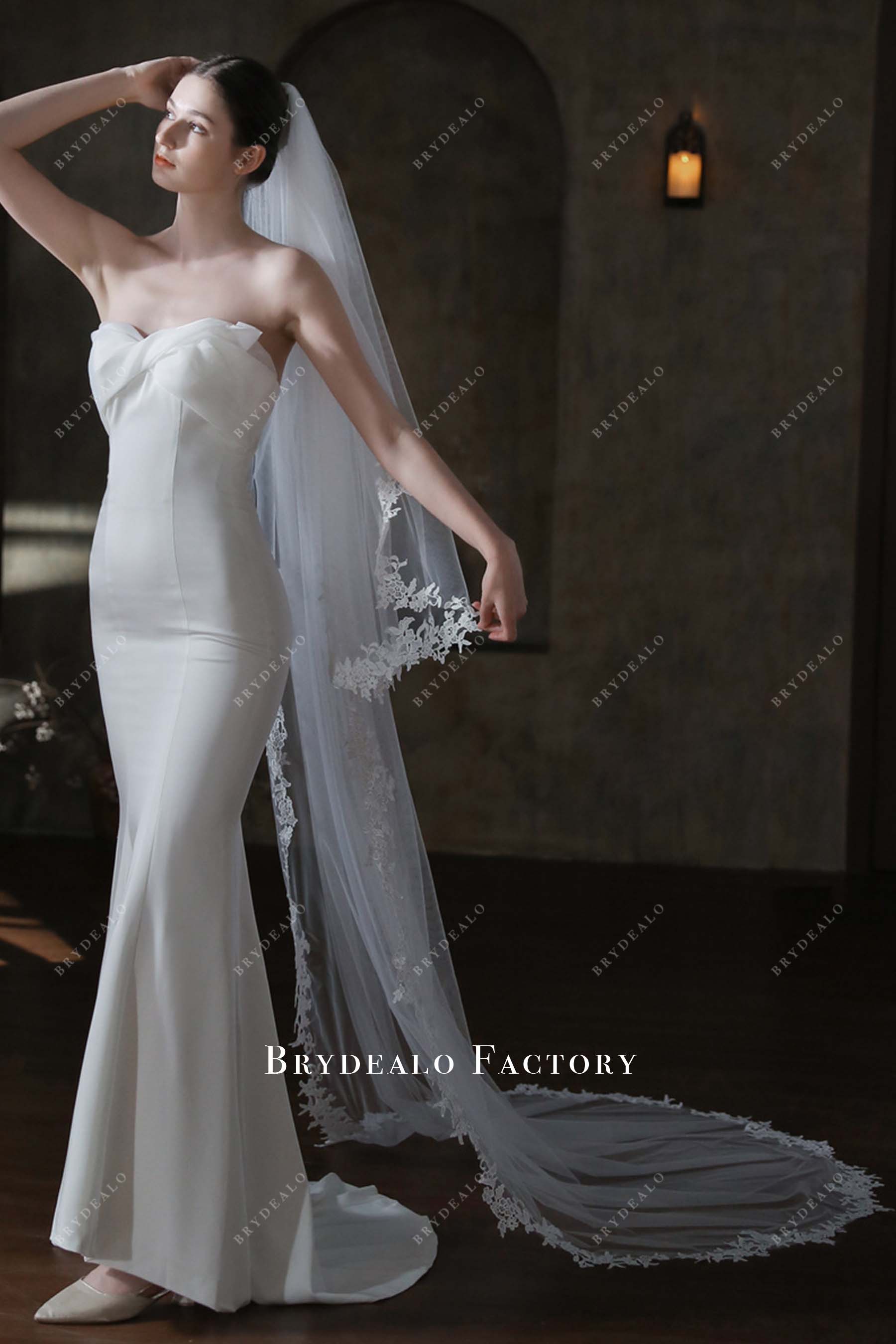 chapel length tulle bridal veil