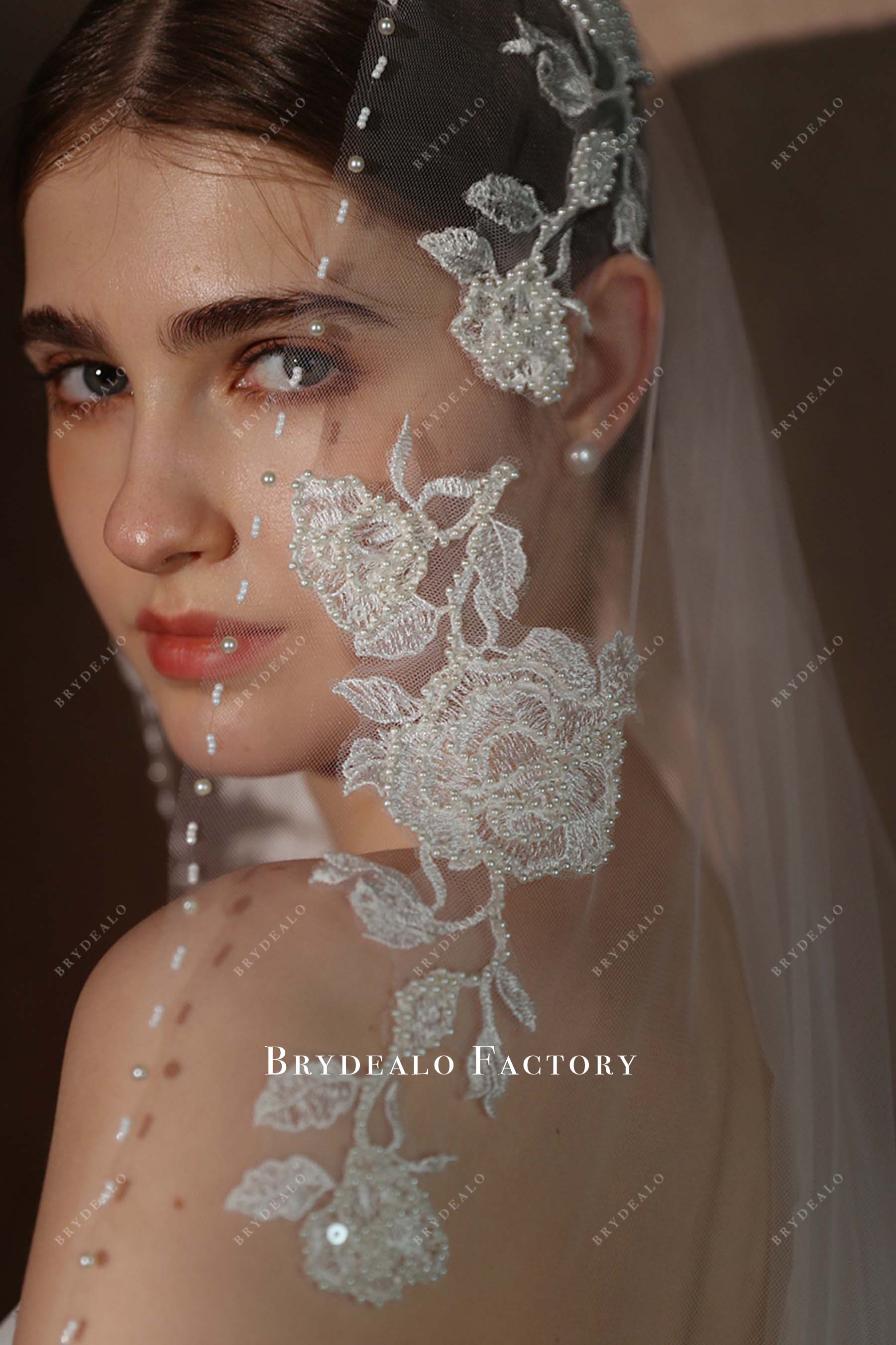 delicate lace appliques bridal veil