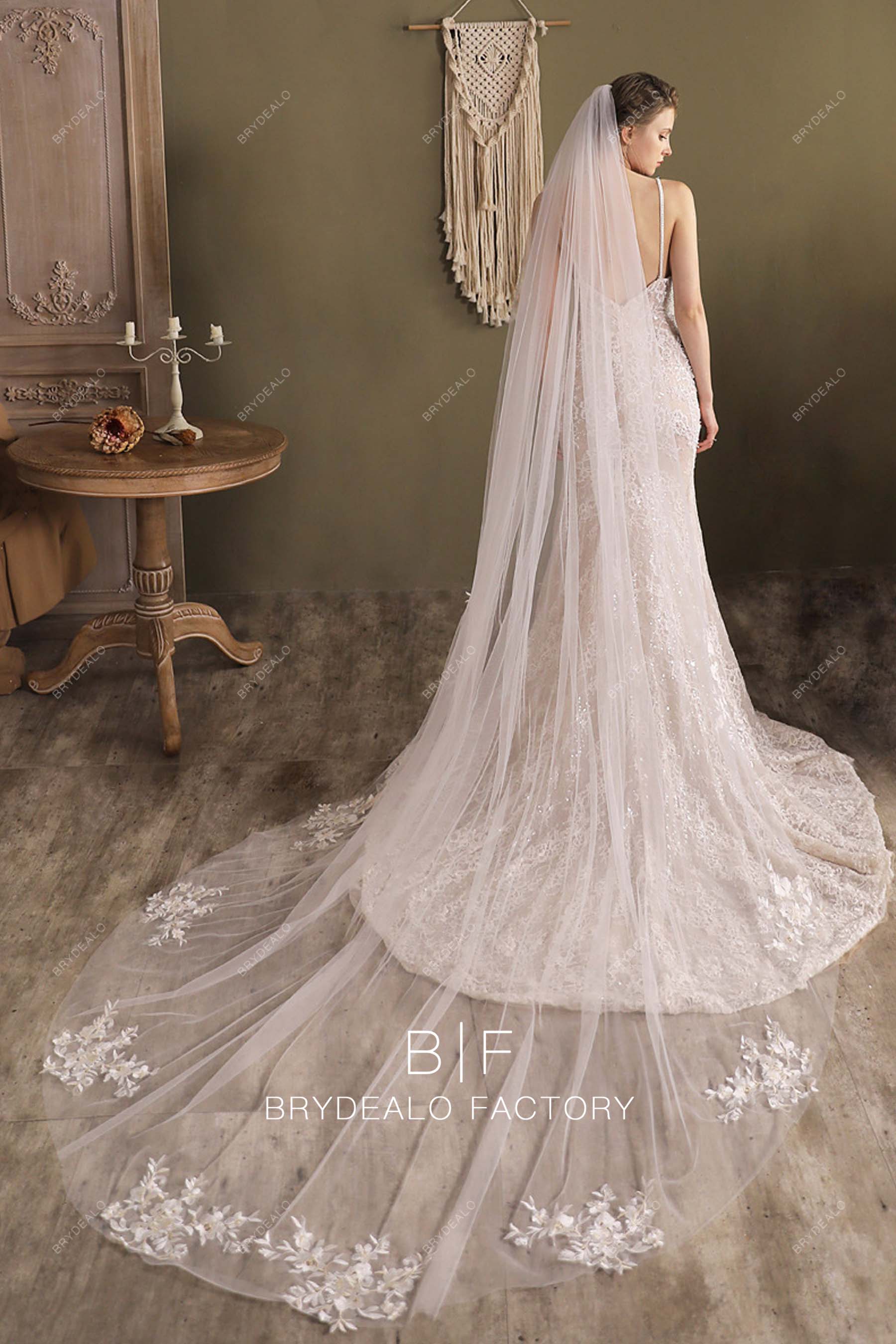 Lace Adorned Tulle Long Wedding Veil