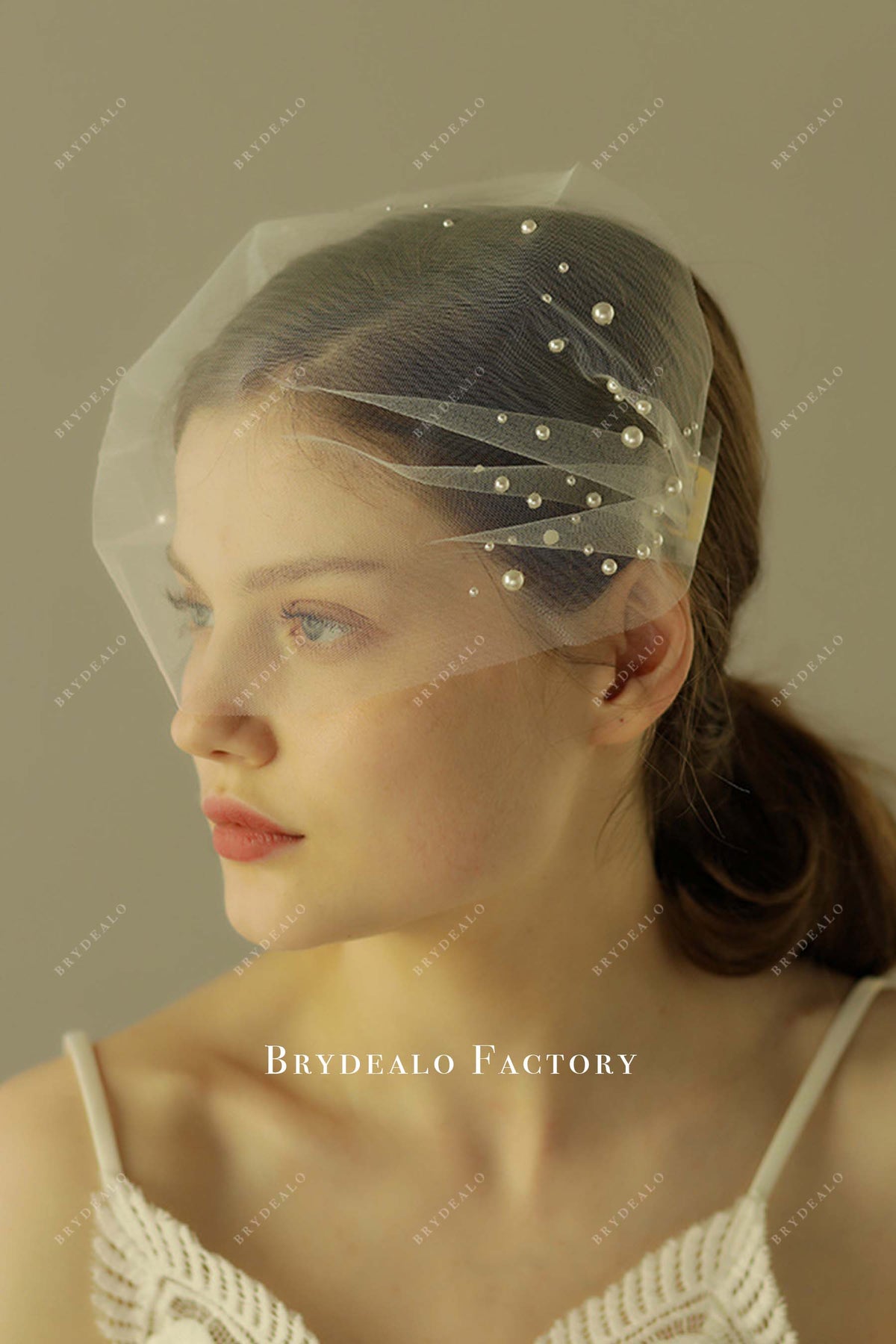 Pearls Two-Side Comb Soft Net Birdcage Bridal Veil display picture 1