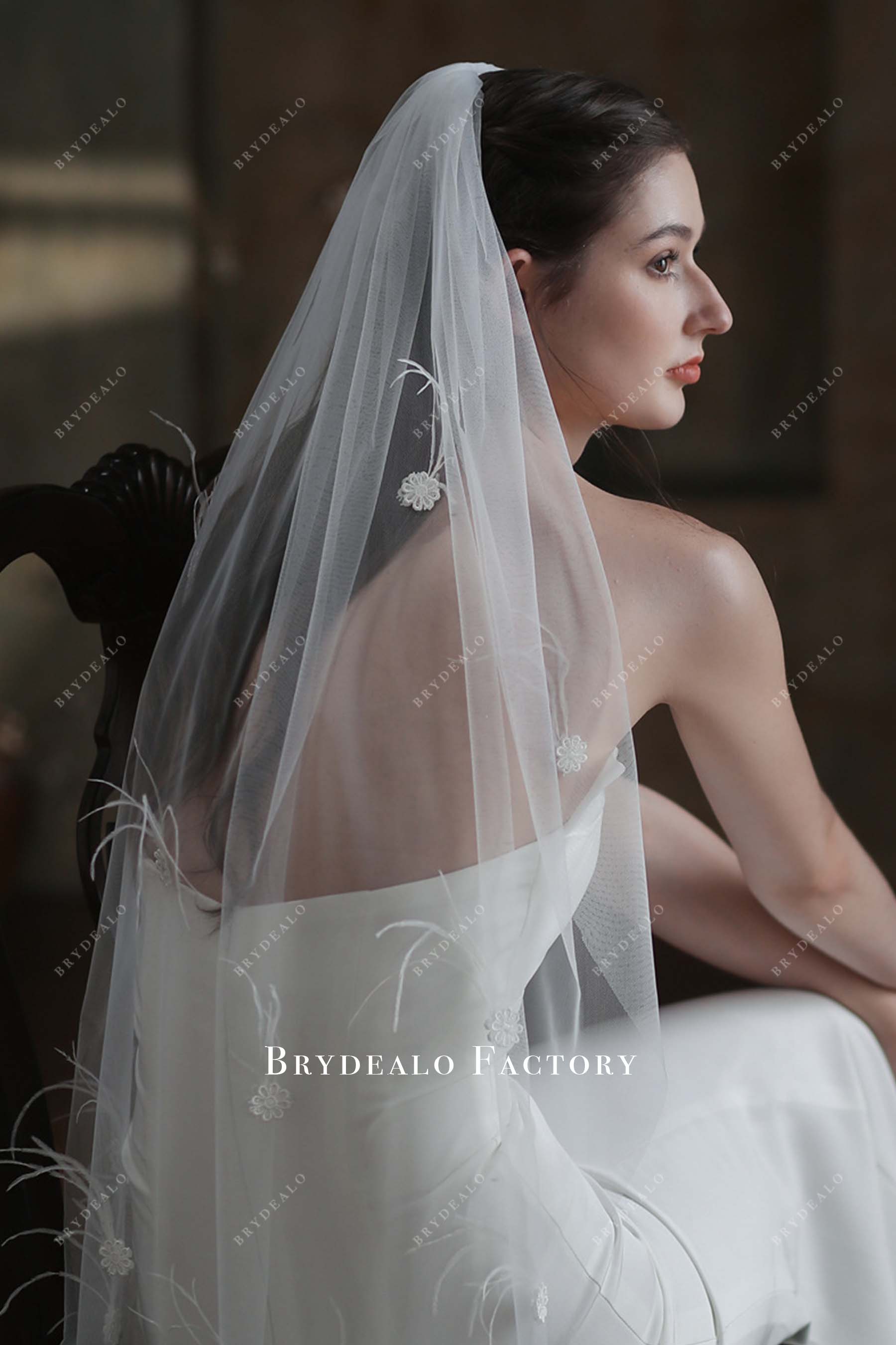 feathered lace appliques bridal veil
