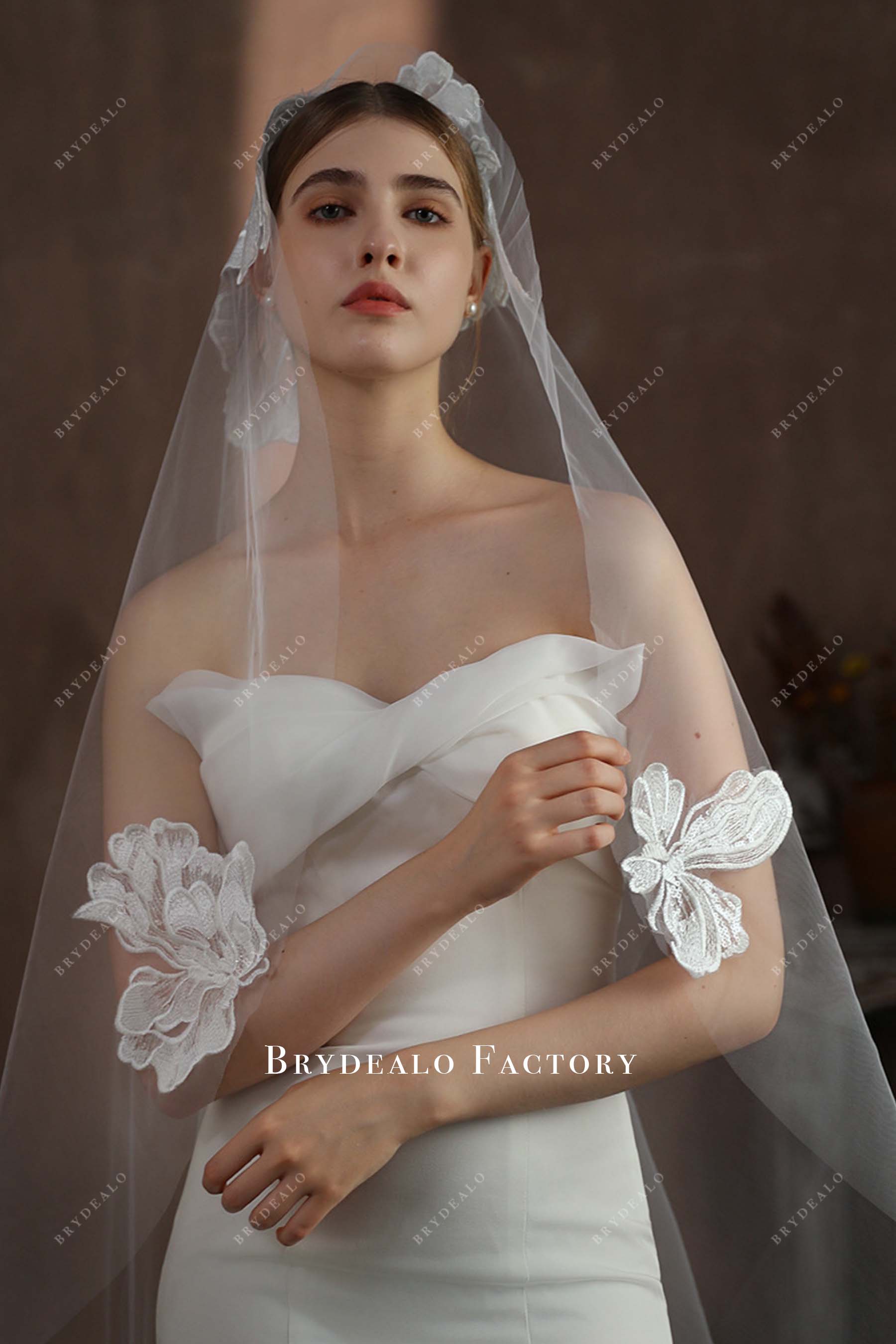 lace appliques bridal veil