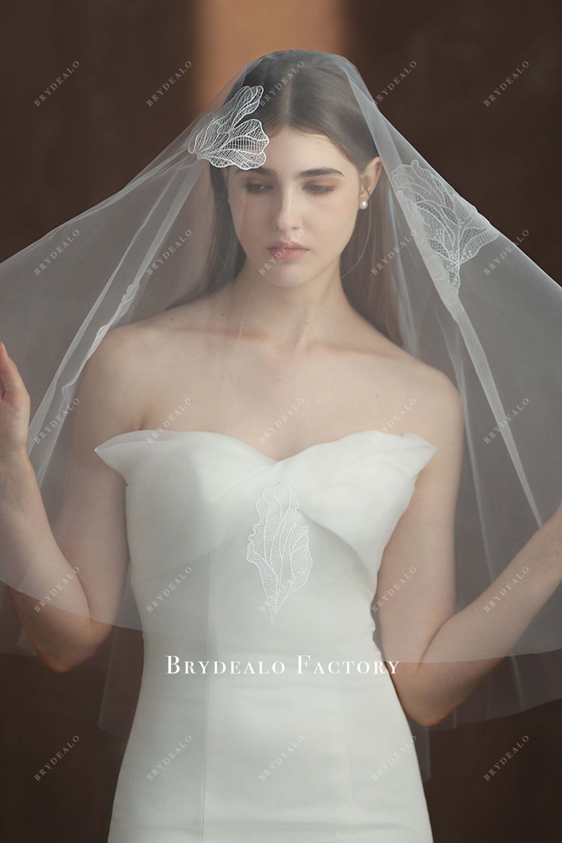 lace appliques bridal veil