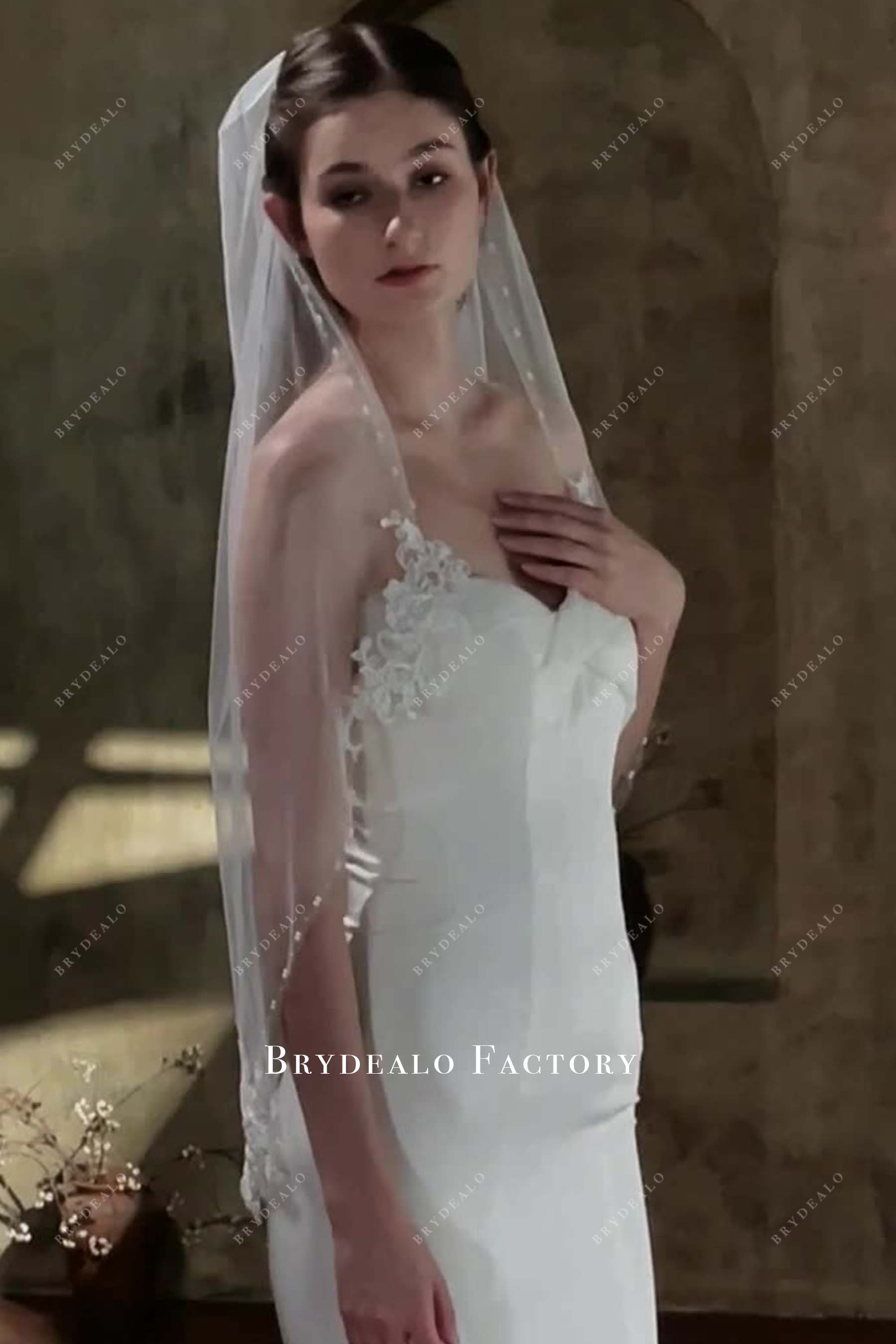 lace appliques bridal veil