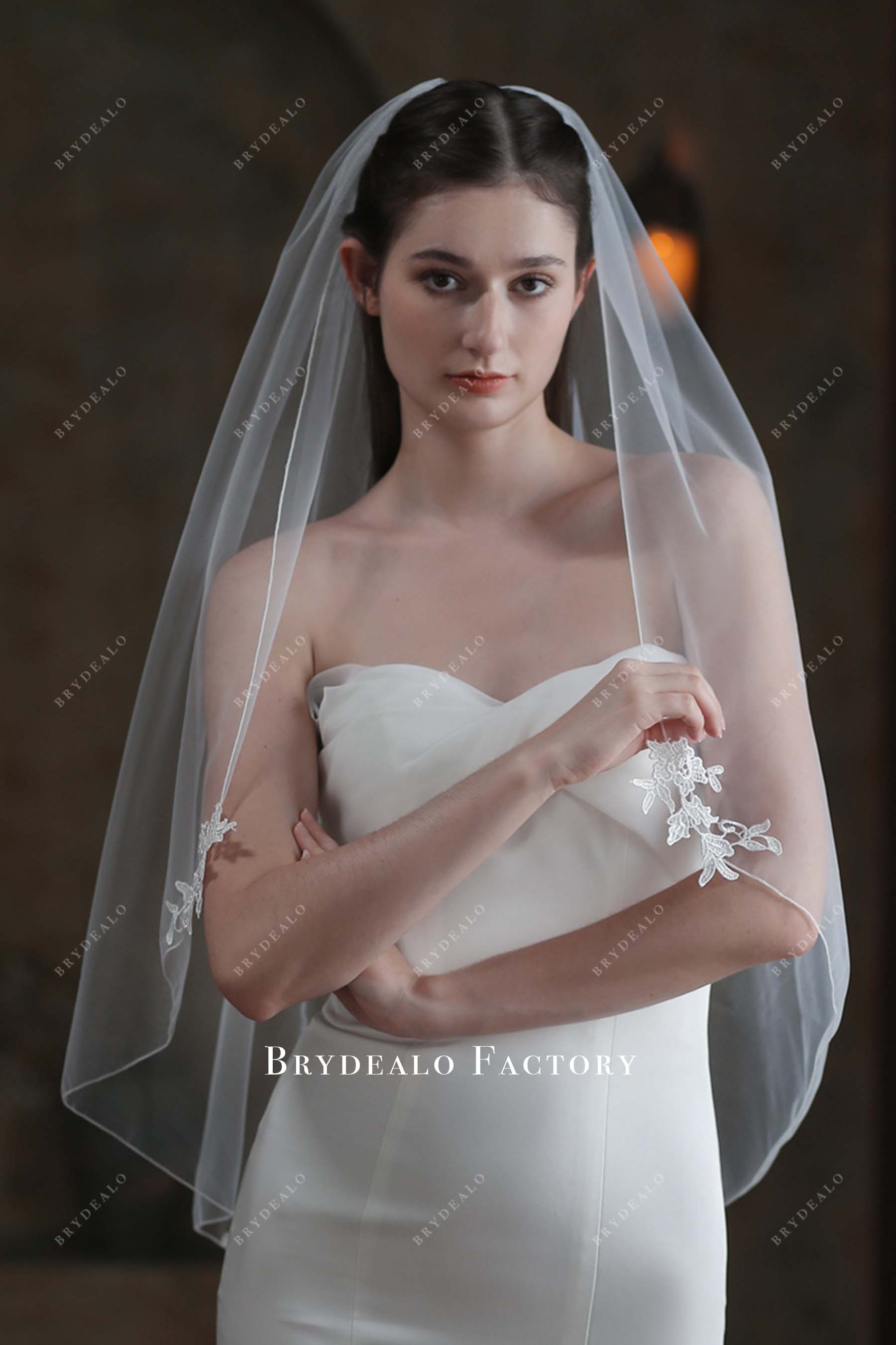 Lace Appliques Single Tier Tulle Bridal Veil