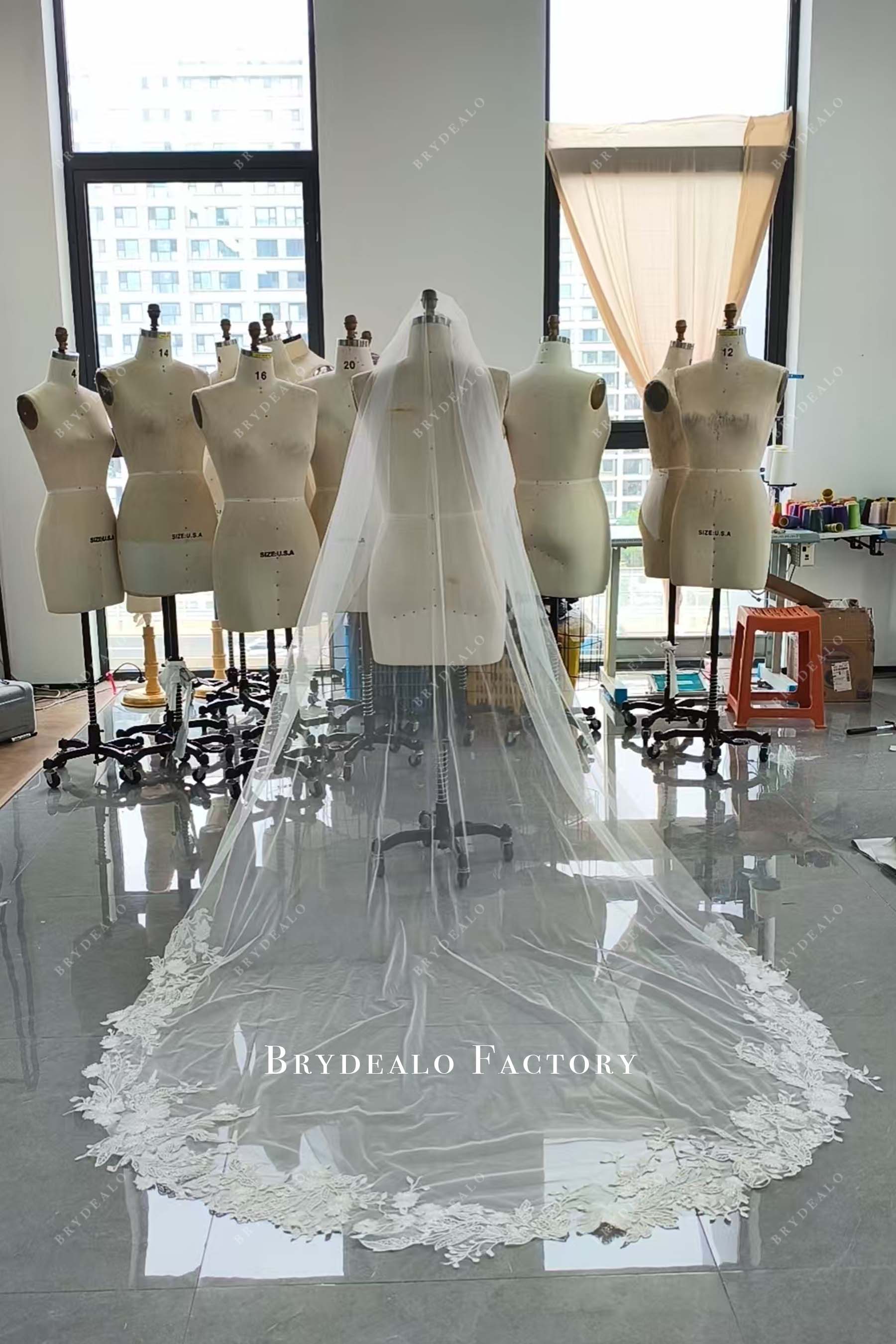 Custom Lace Adorned Cathedral Length Bridal Veil