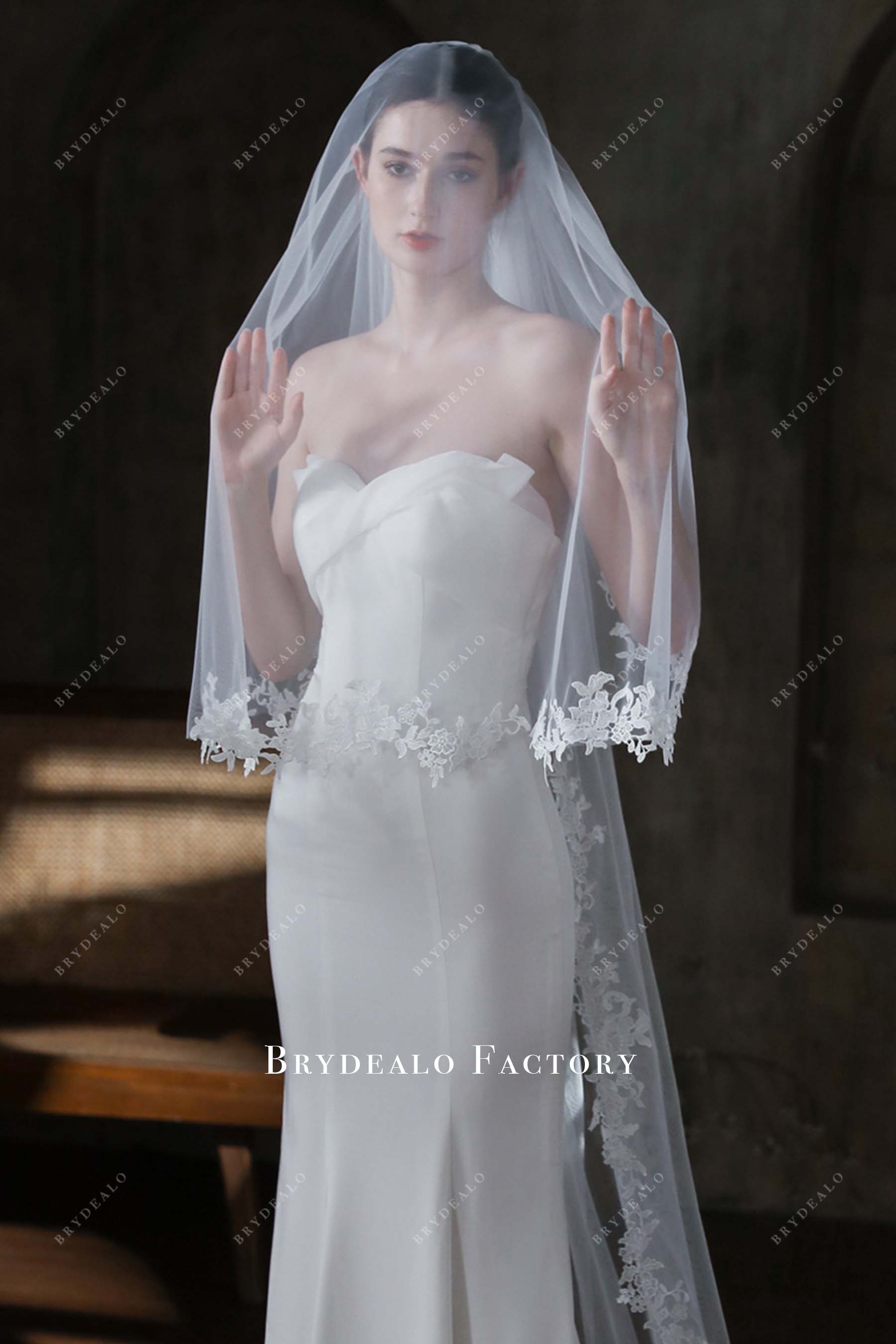 lace edge tulle bridal veil