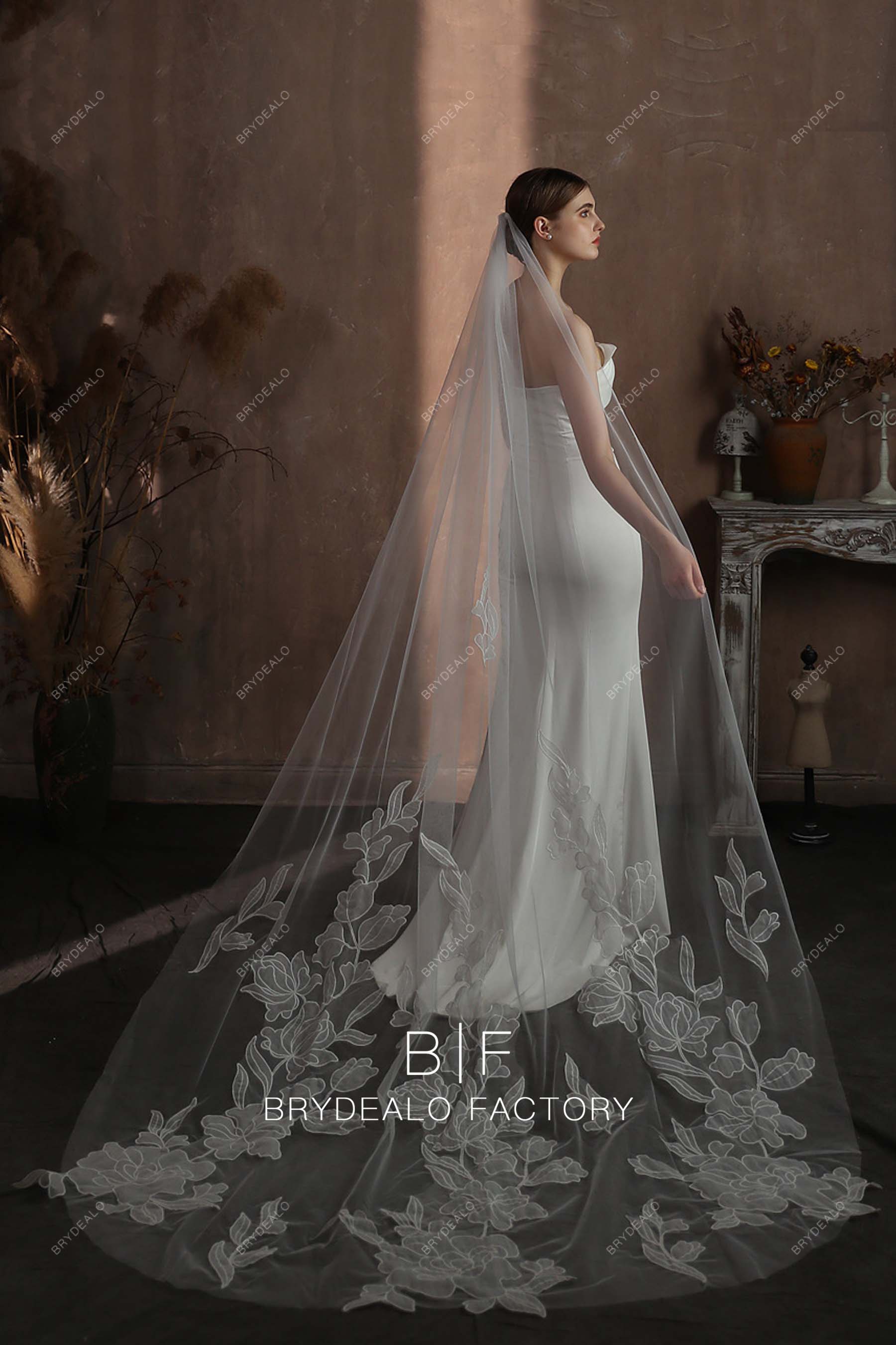 http://brydealofactory.com/cdn/shop/files/lace-long-bridal-veil-08180.jpg?v=1697102169&width=2048