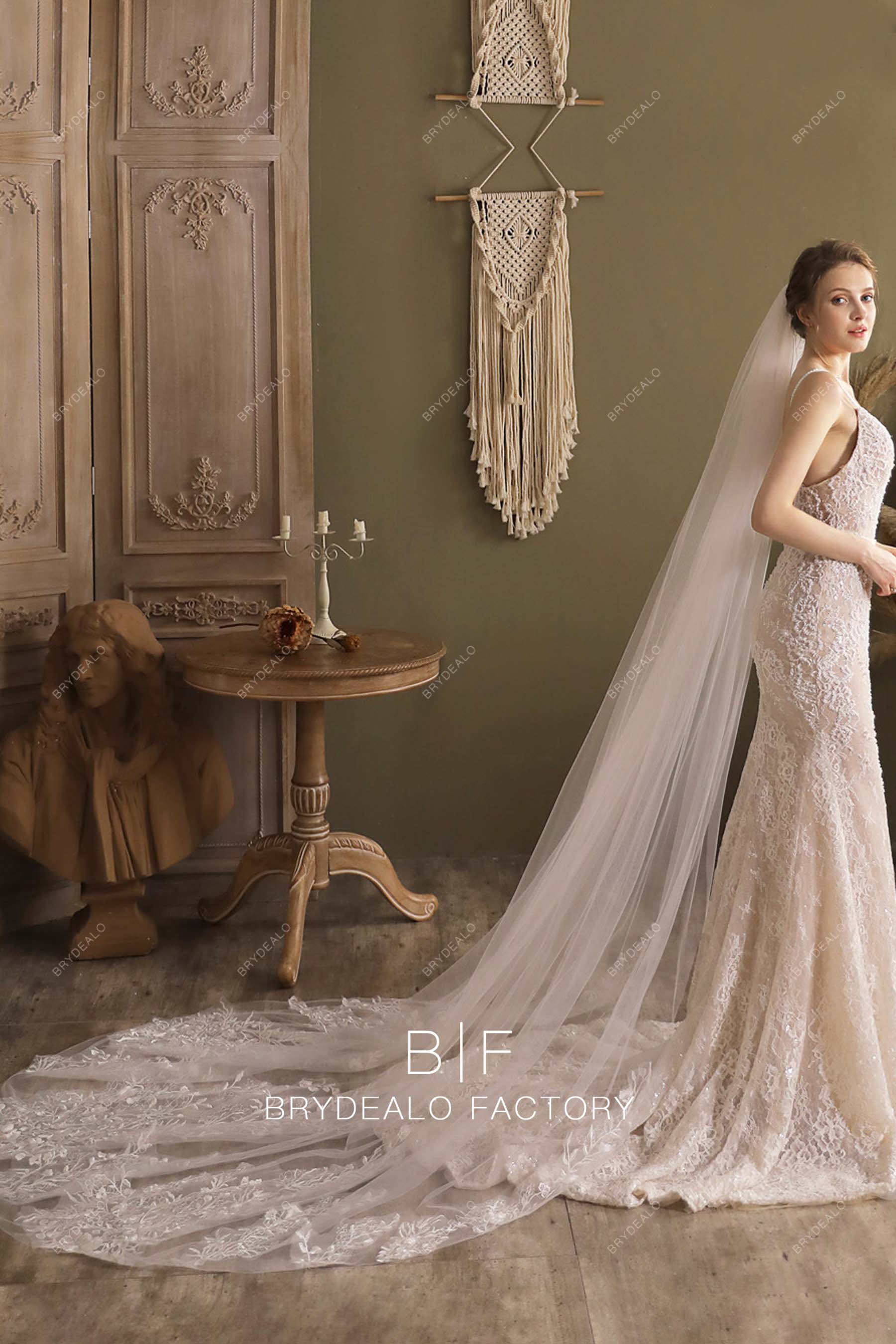 Ornate Lace Adorned Tulle Cathedral Length Wedding Veil