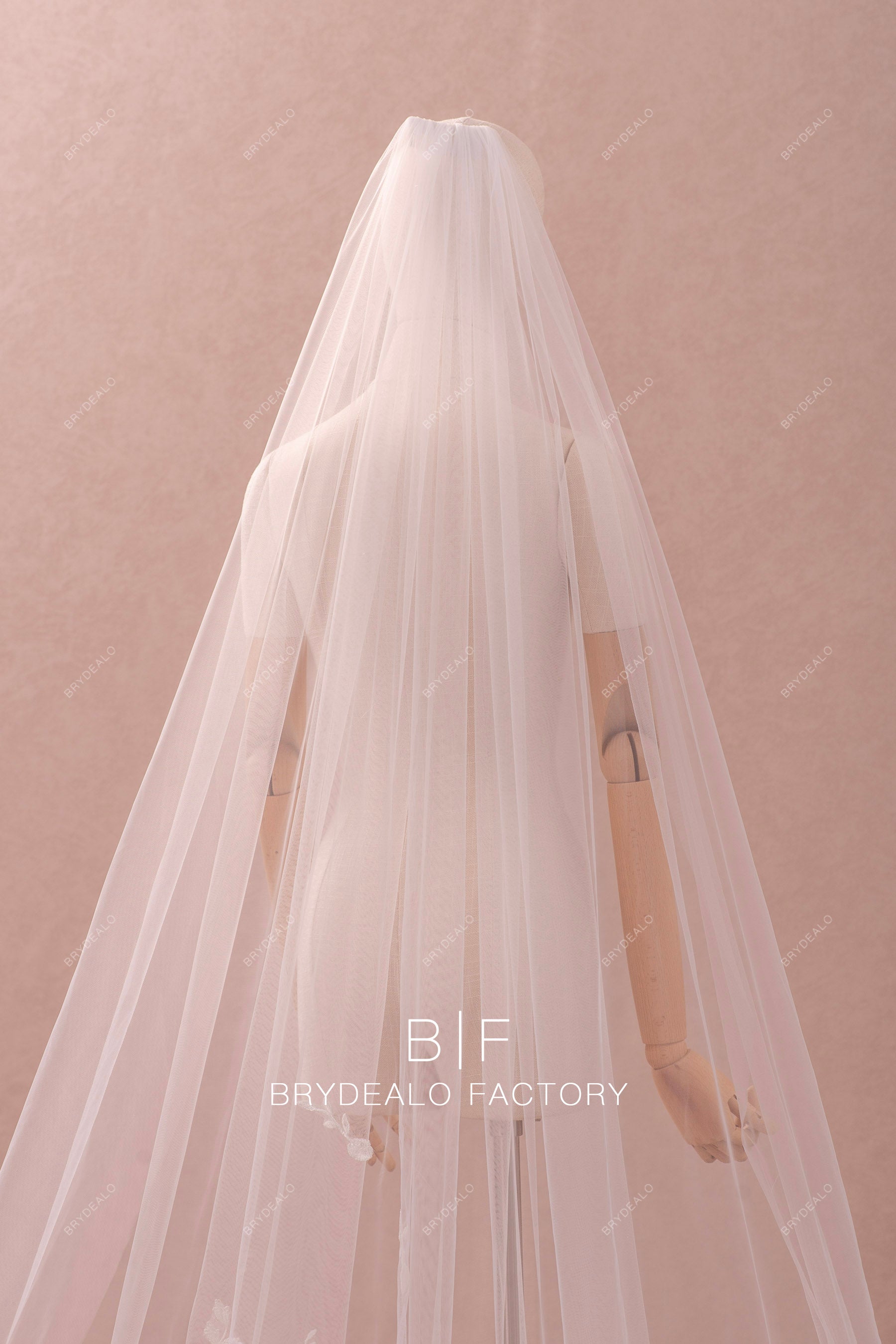 single tier tulle veil