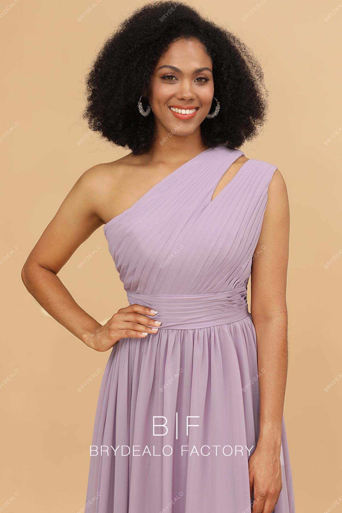 Wisteria Slit Pleated One Shoulder Sleeveless Bridesmaid Dress