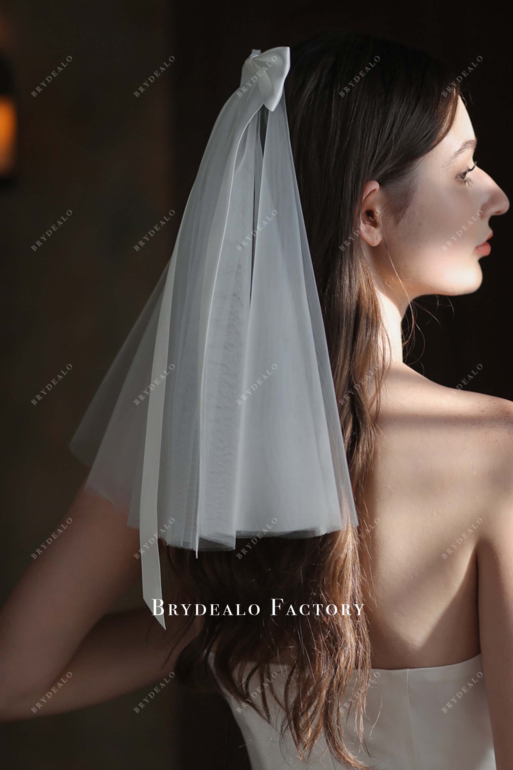 tulle with comb bridal veil