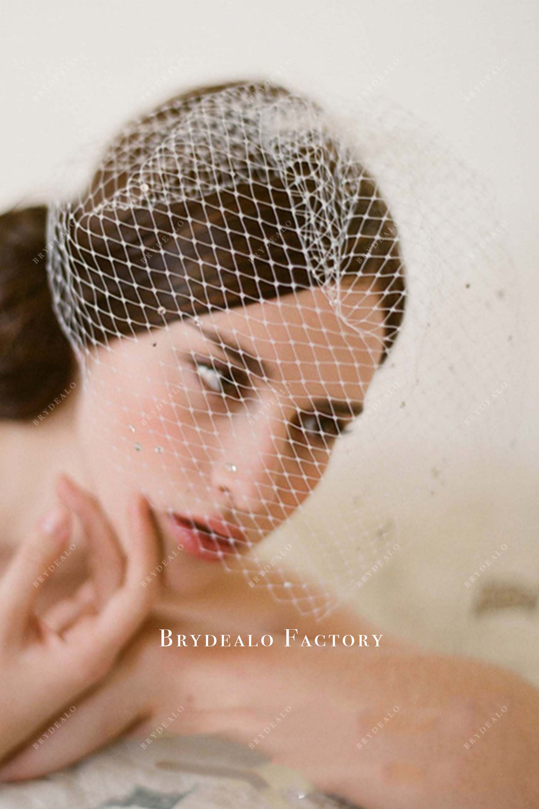 with comb birdcage bridal veil