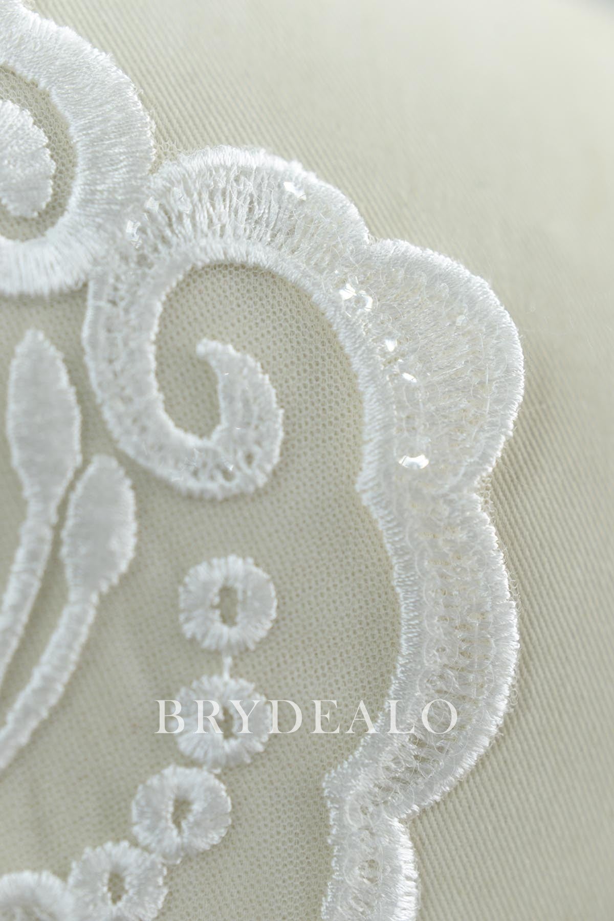 Shimmery Symmetrical Lace Appliqué