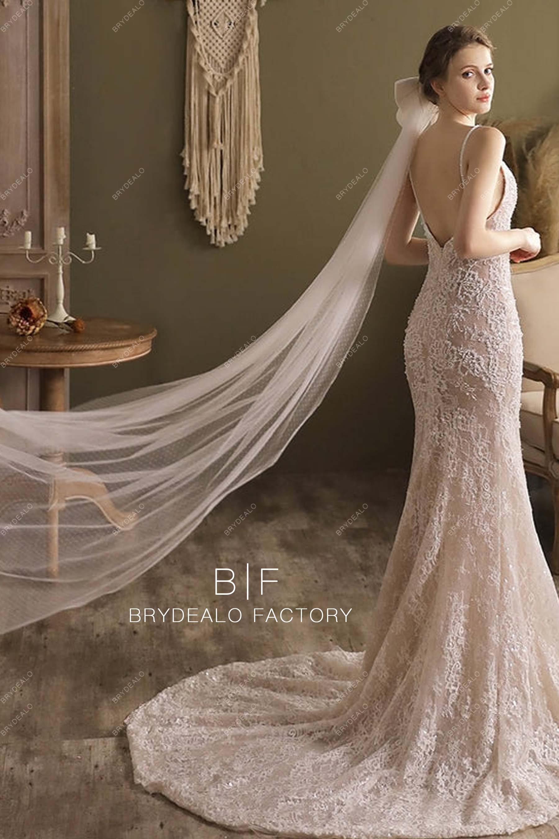 http://brydealofactory.com/cdn/shop/products/Big-Bow-Chapel-Length-Bridal-Veil-Dotted-Wedding-Veil.jpg?v=1668580882&width=2048