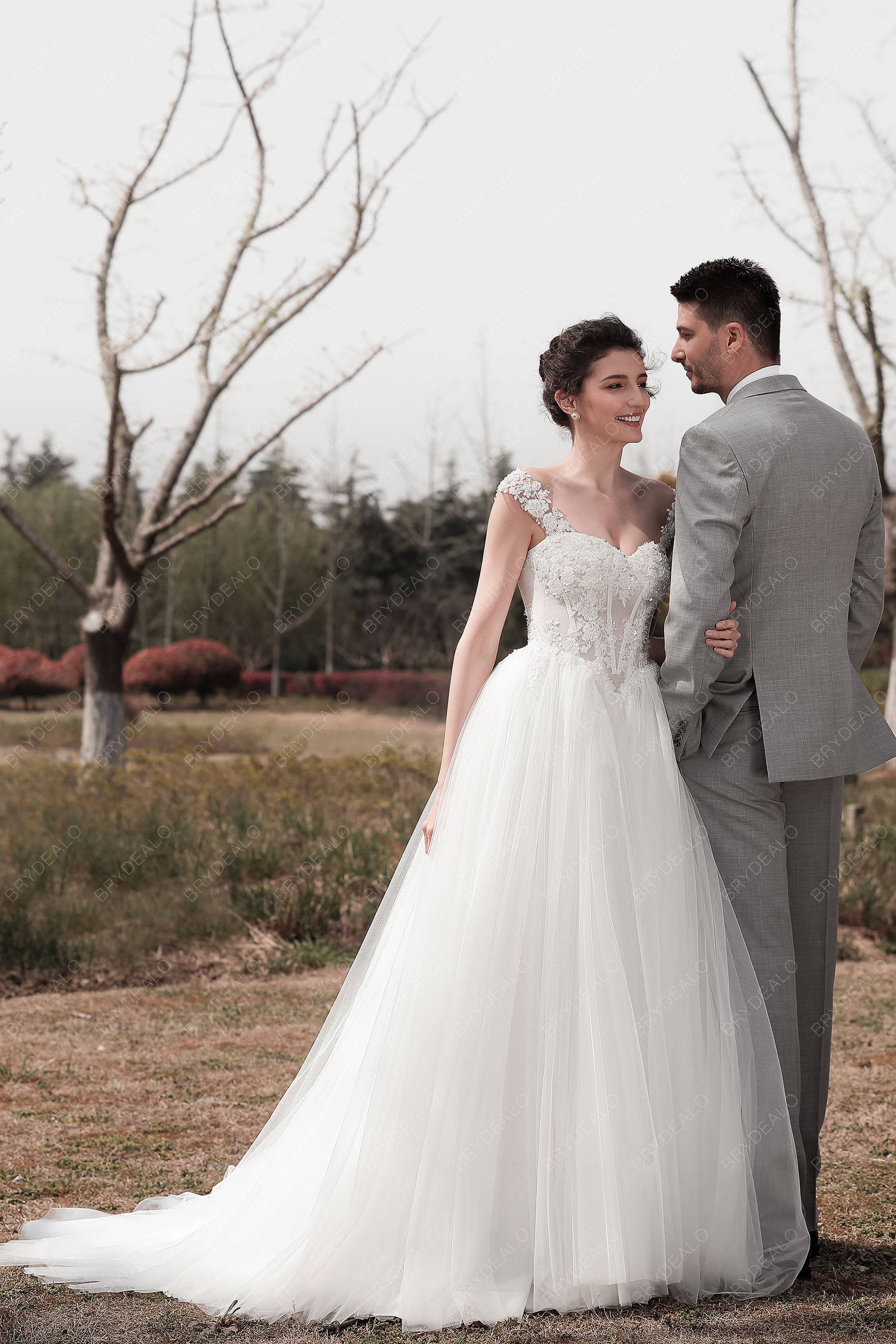 Cap Sleeve Beaded Lace Puffy A-line Wedding Dress