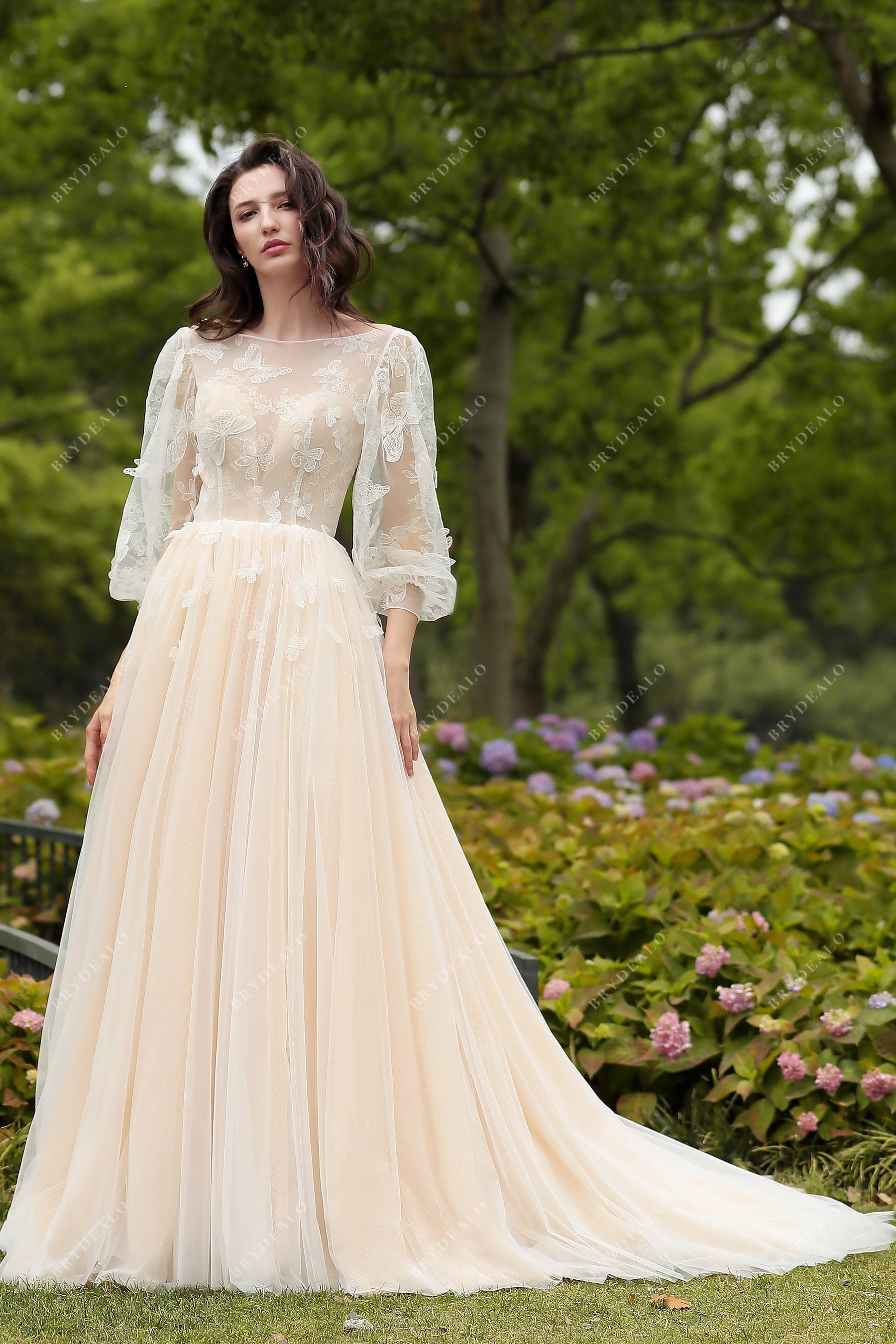 Colored Butterfly Cinderella Wedding Gown Nude Pink Colored Butterfly Cinderella Wedding Gown Nude Pink