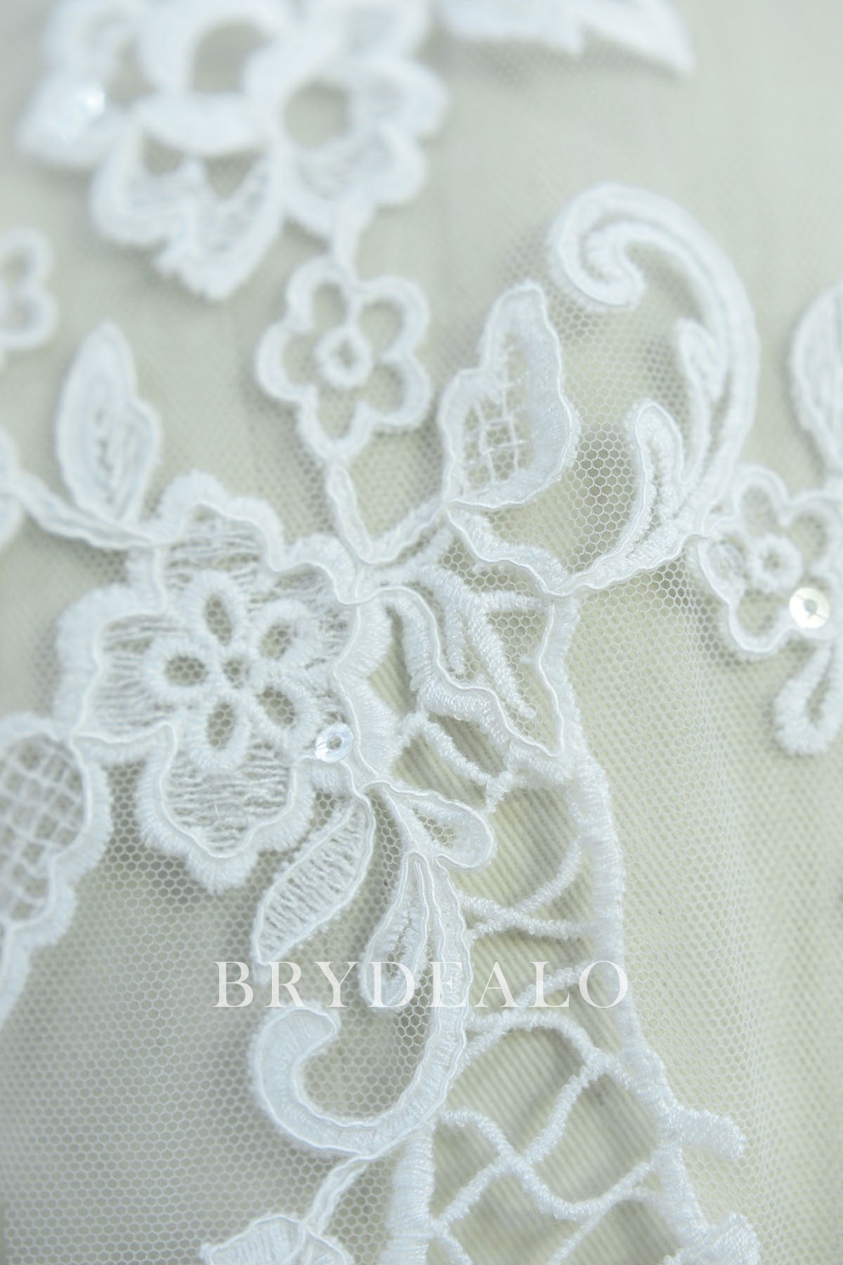 Designer Shimmery Embroidery Flower Lace