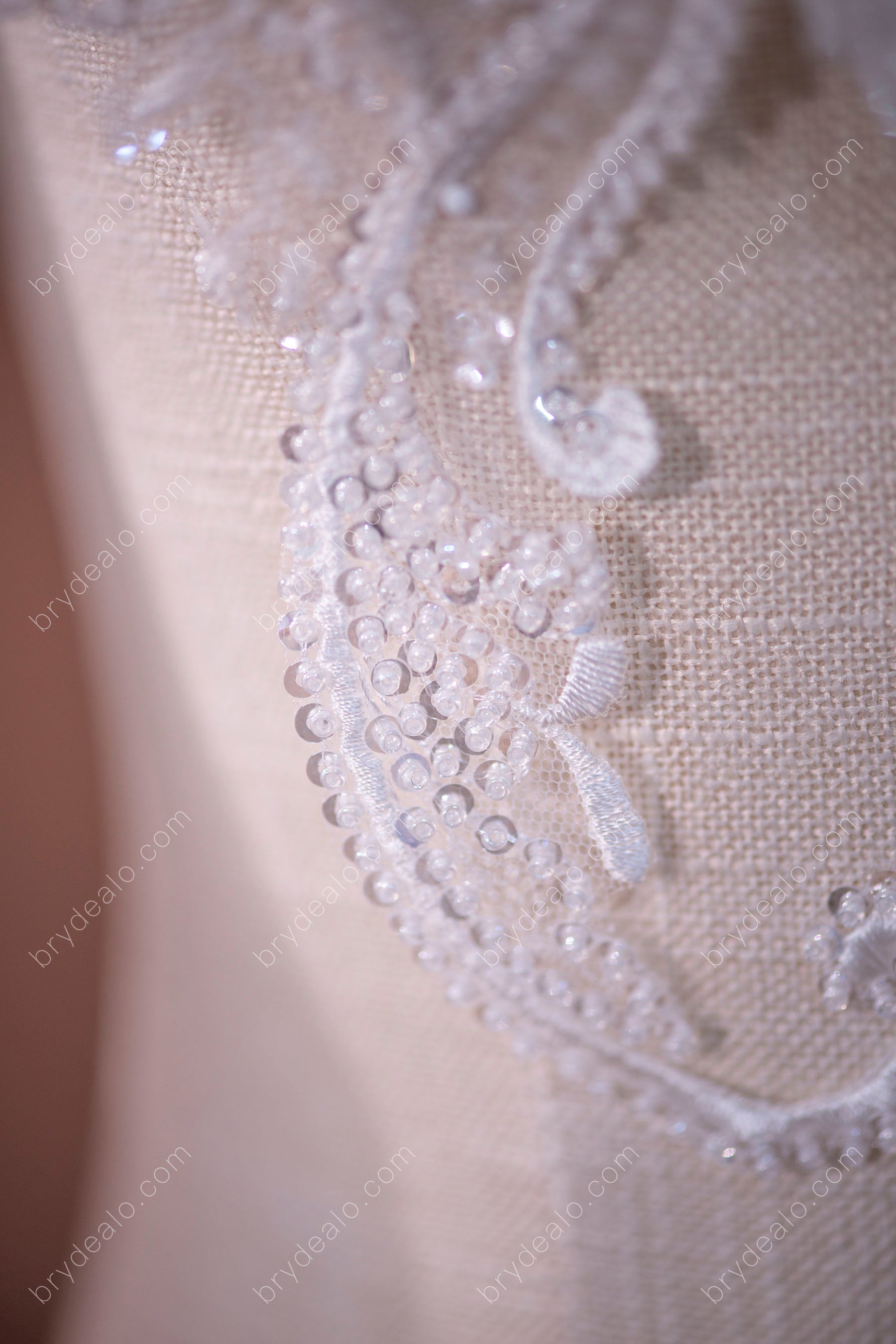 Shiny Beaded Sequined Lace Appliques