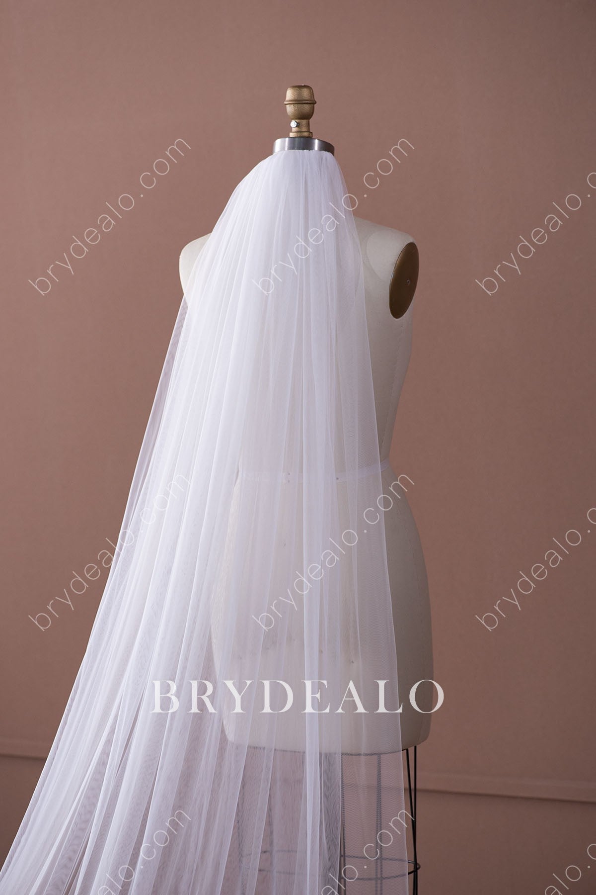 delicate lace bridal veil