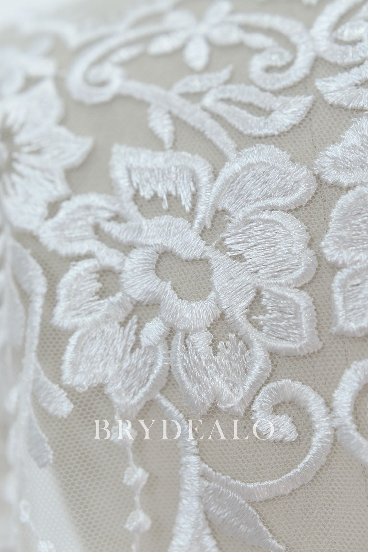 Designer Embroidered Double Border Lace