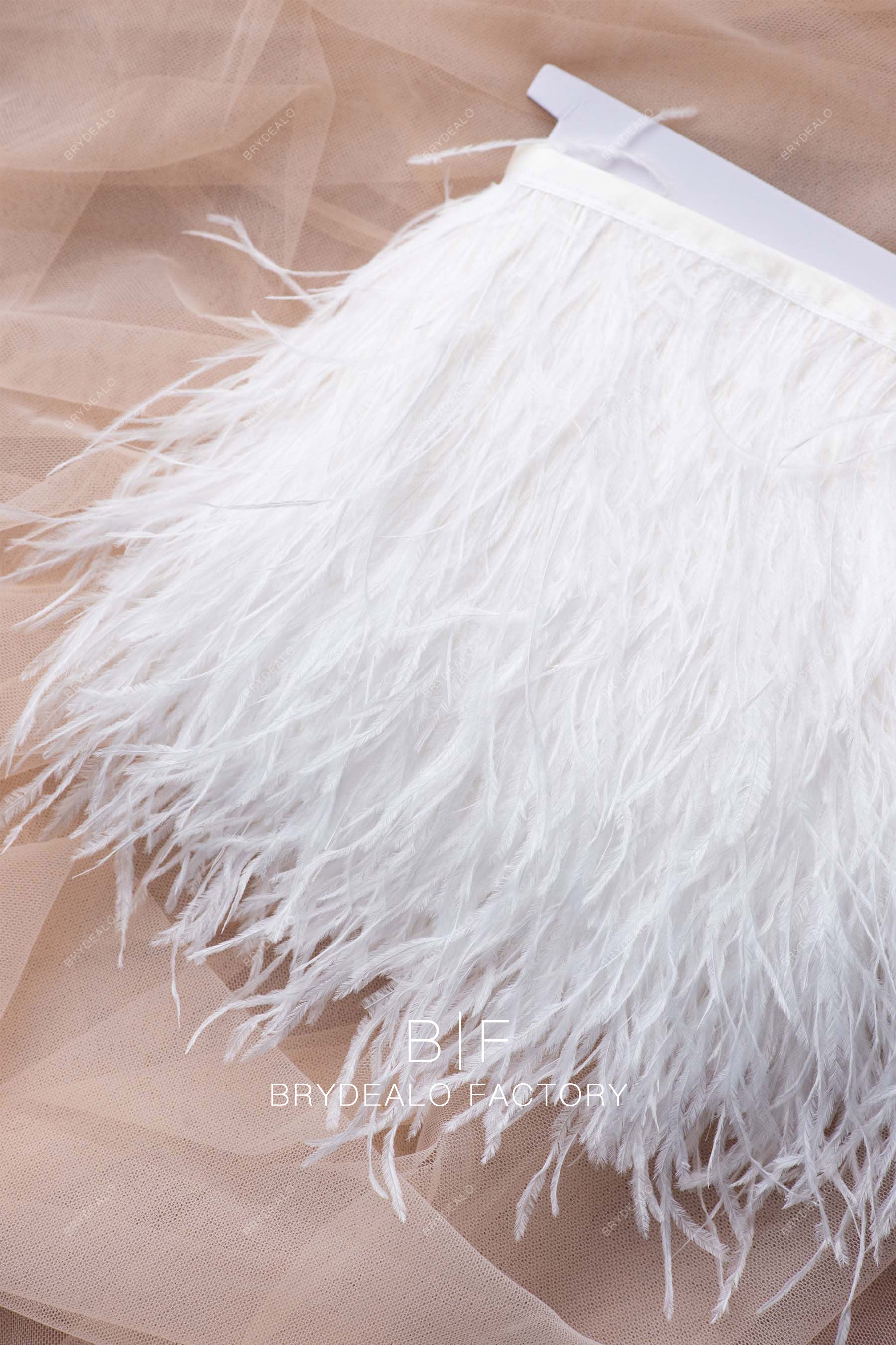 designer ostrich feather