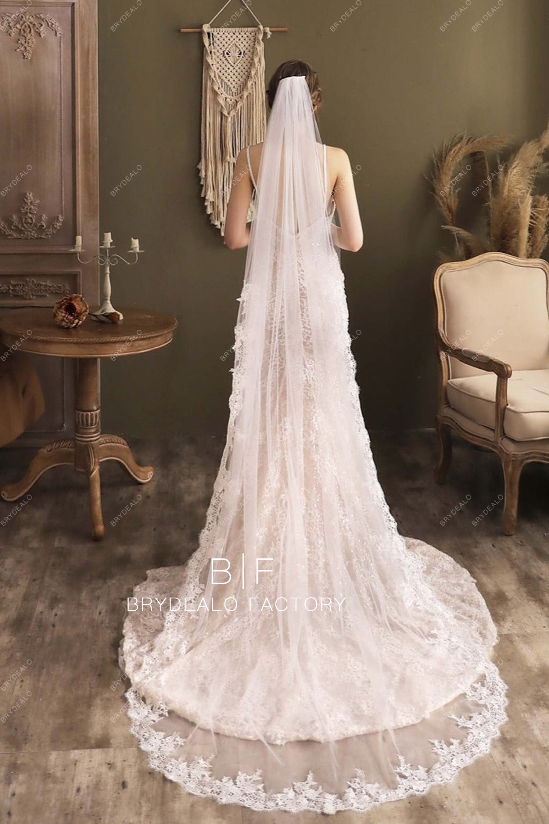 Floral Lace Trim Bridal Veil