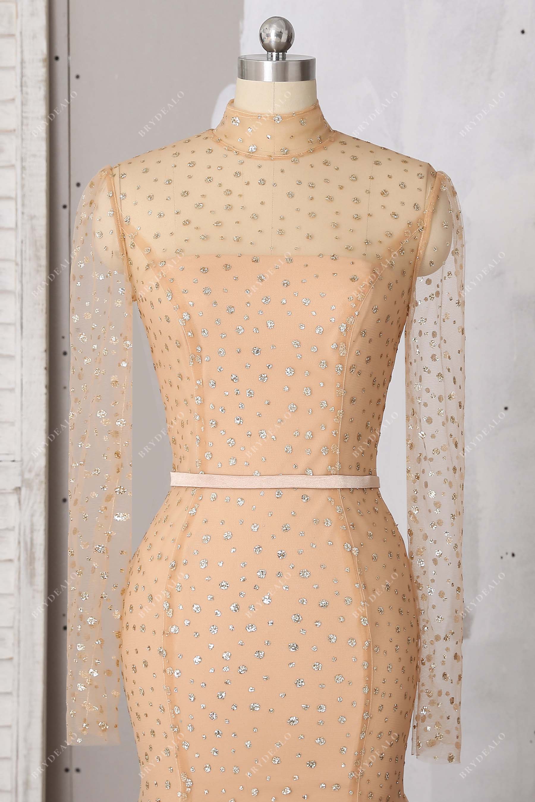 illusion high neck sheer long sleeves dress