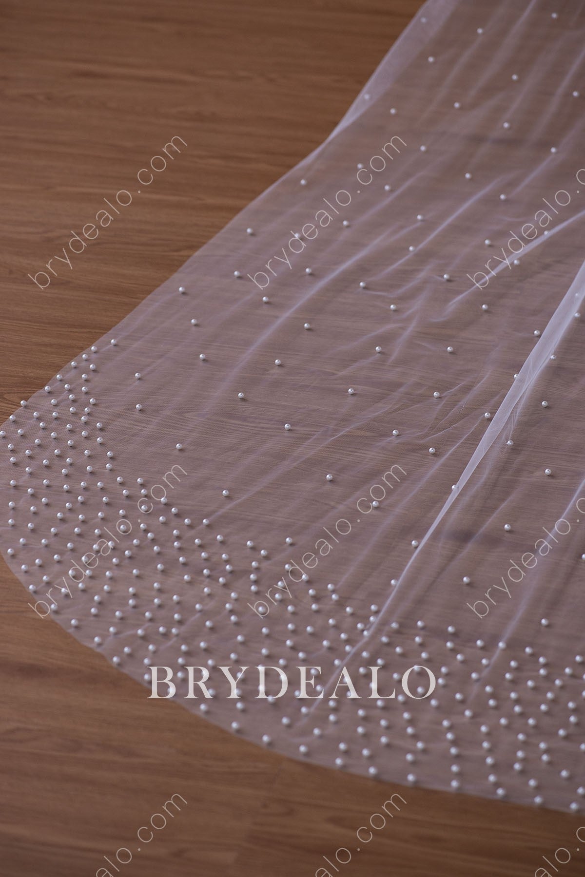 cathedral length wedding veil