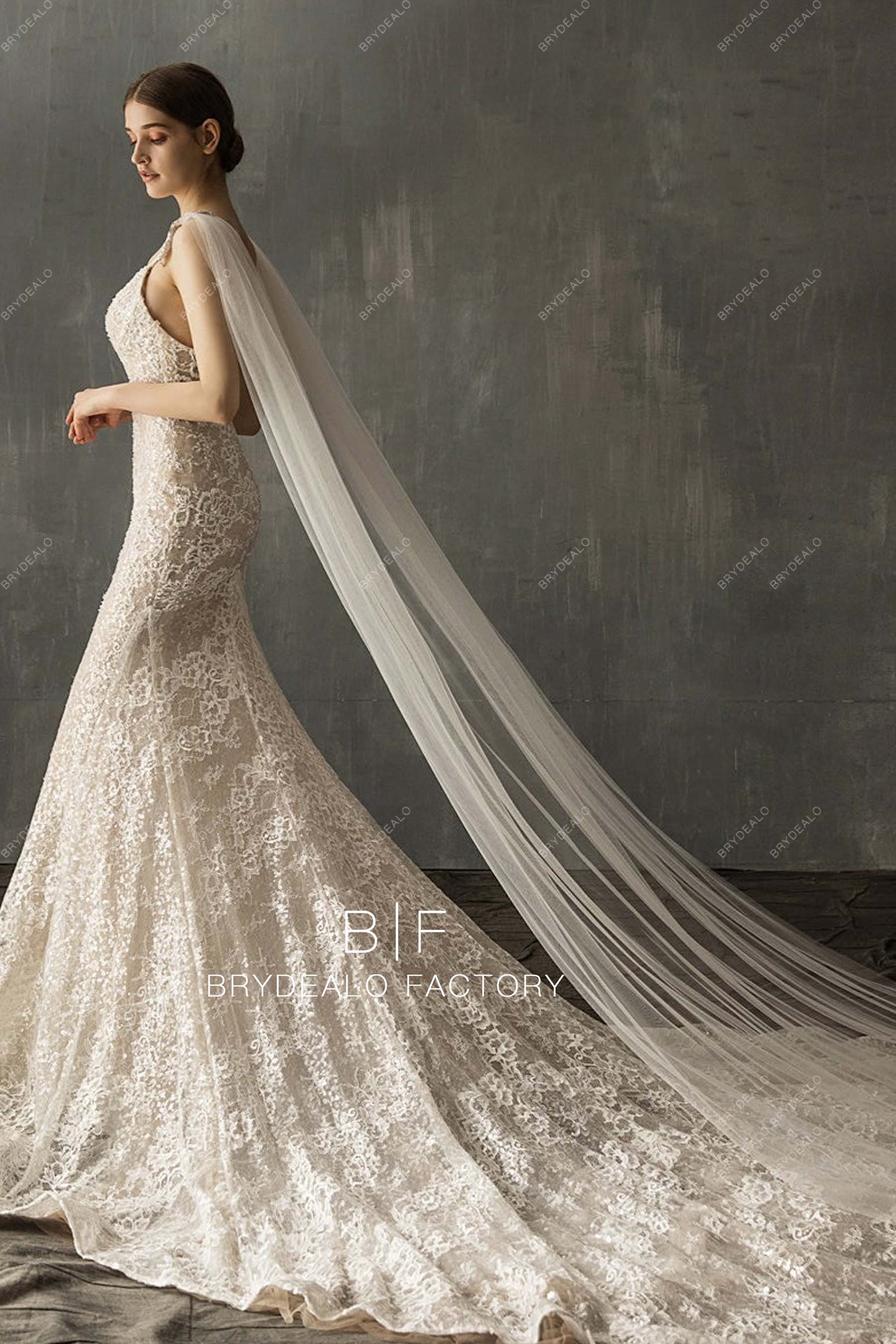 Private Label Cathedral Length Shoulder Veil