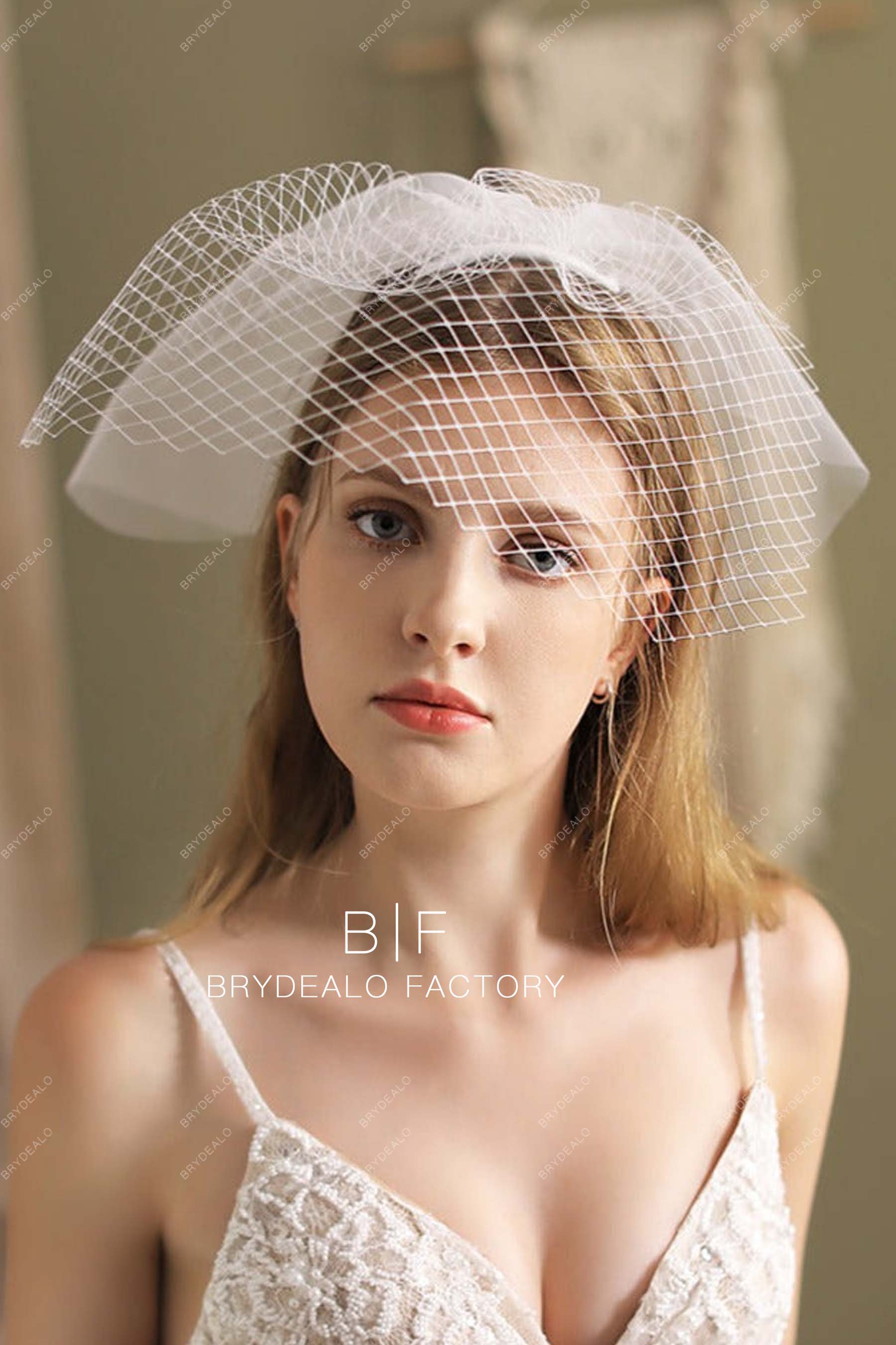 vintage birdcage veil