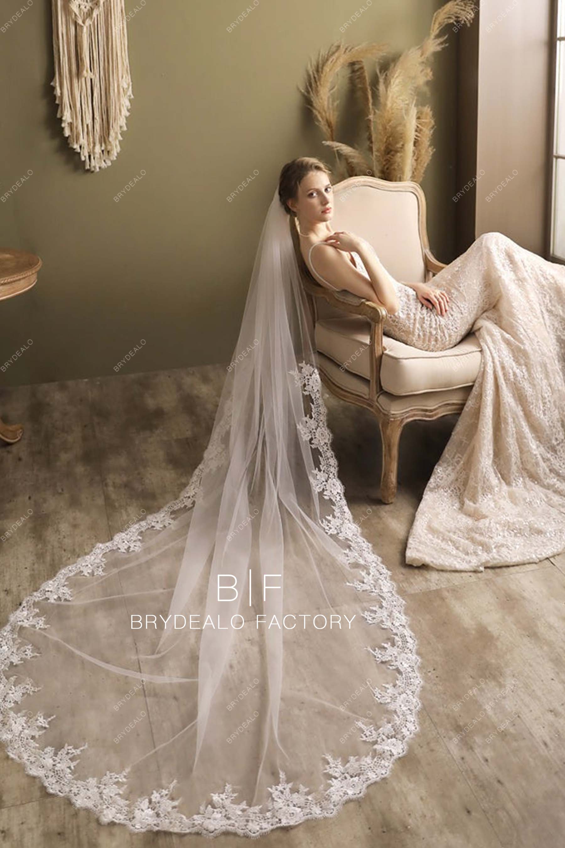 1T Tulle with Lace Wedding Bridal Veil Cathedral Length