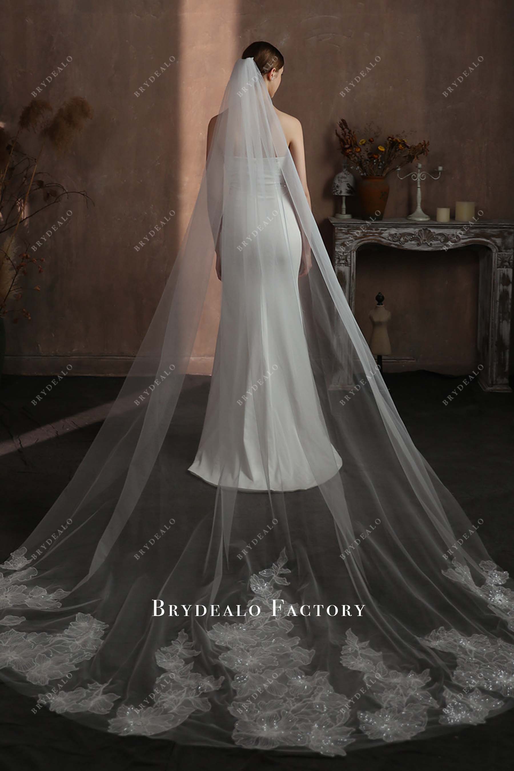 cathedral length bridal veil