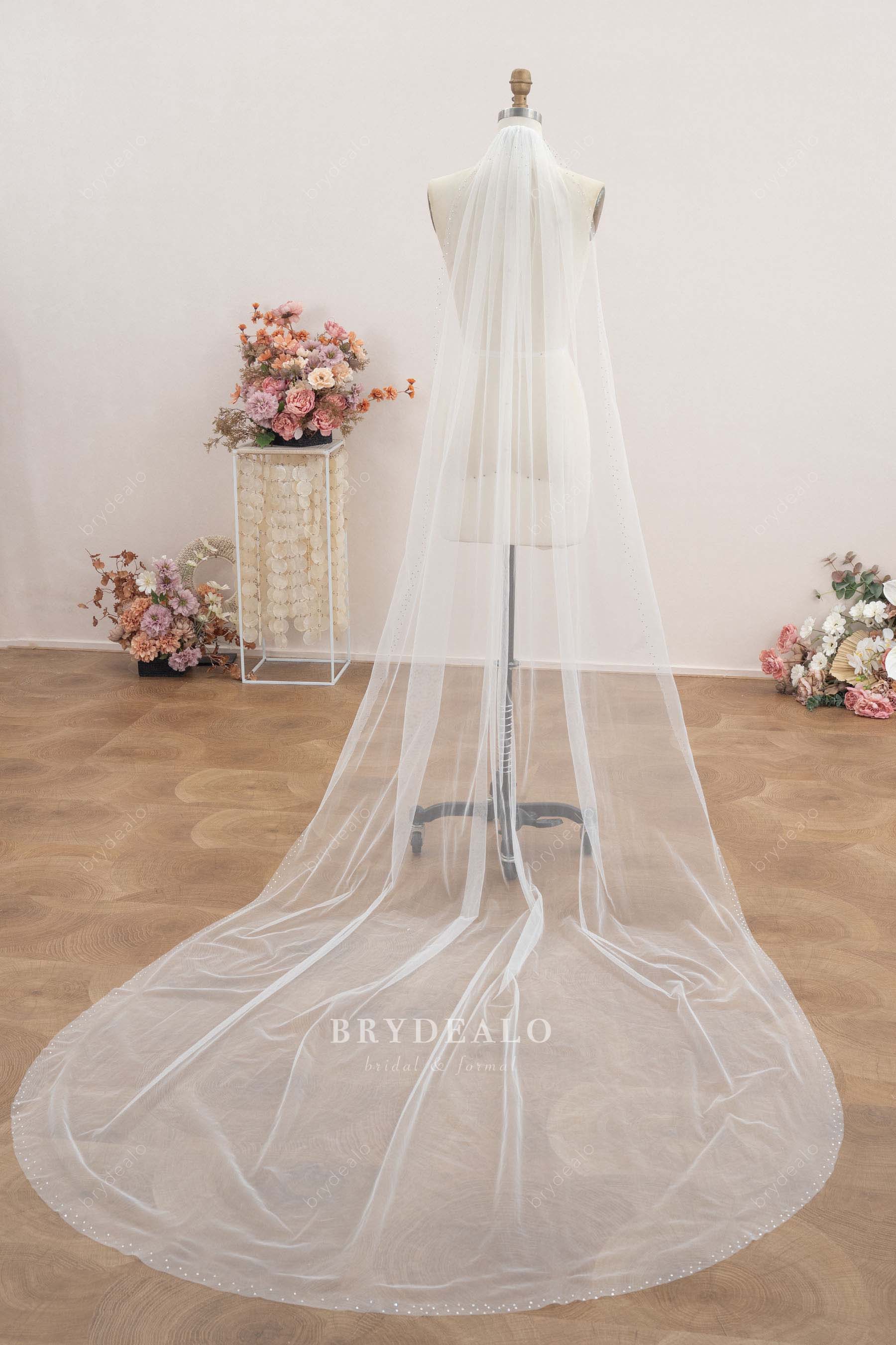 Cathedral length rhinestone edge veil