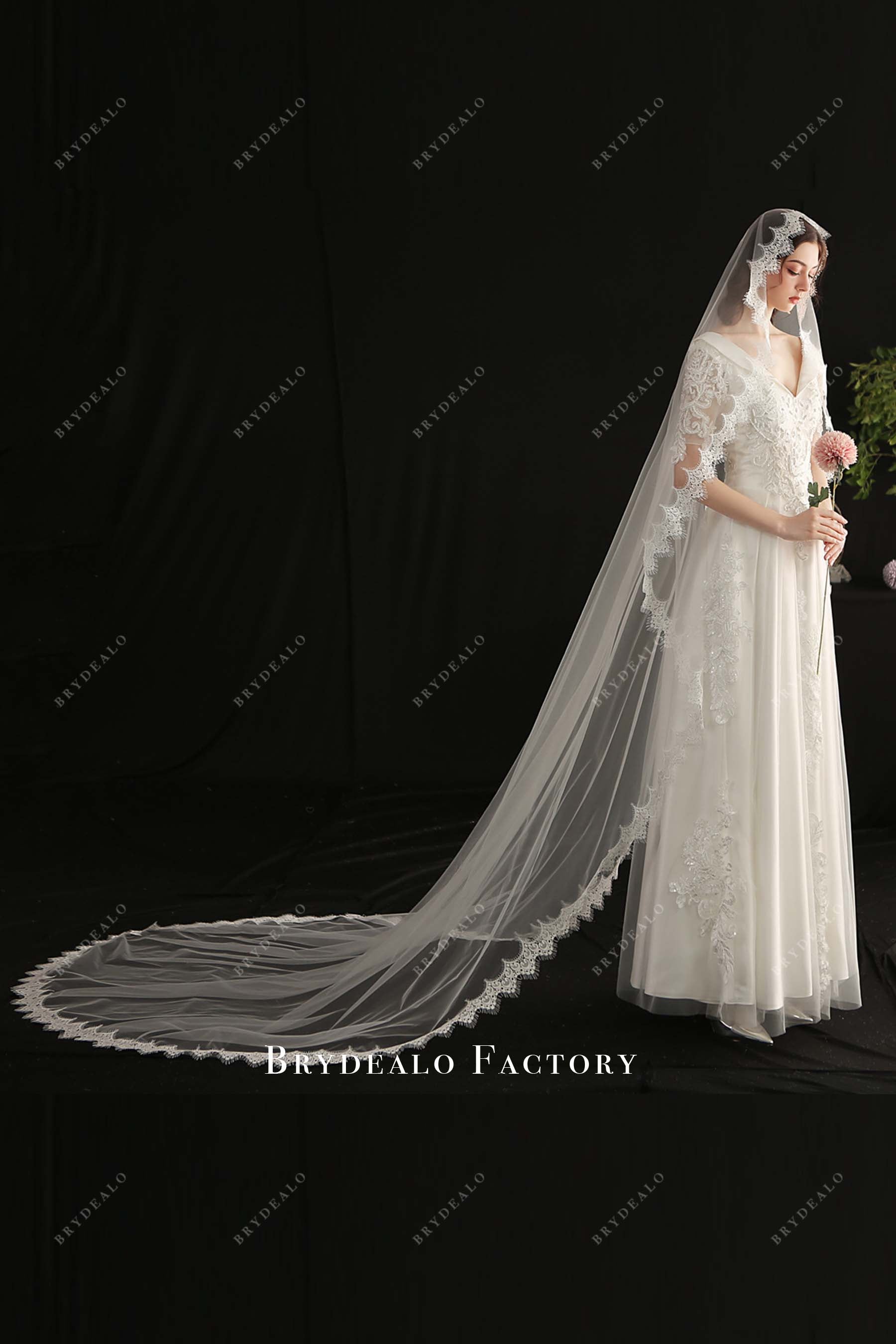 cathedral length wedding veil