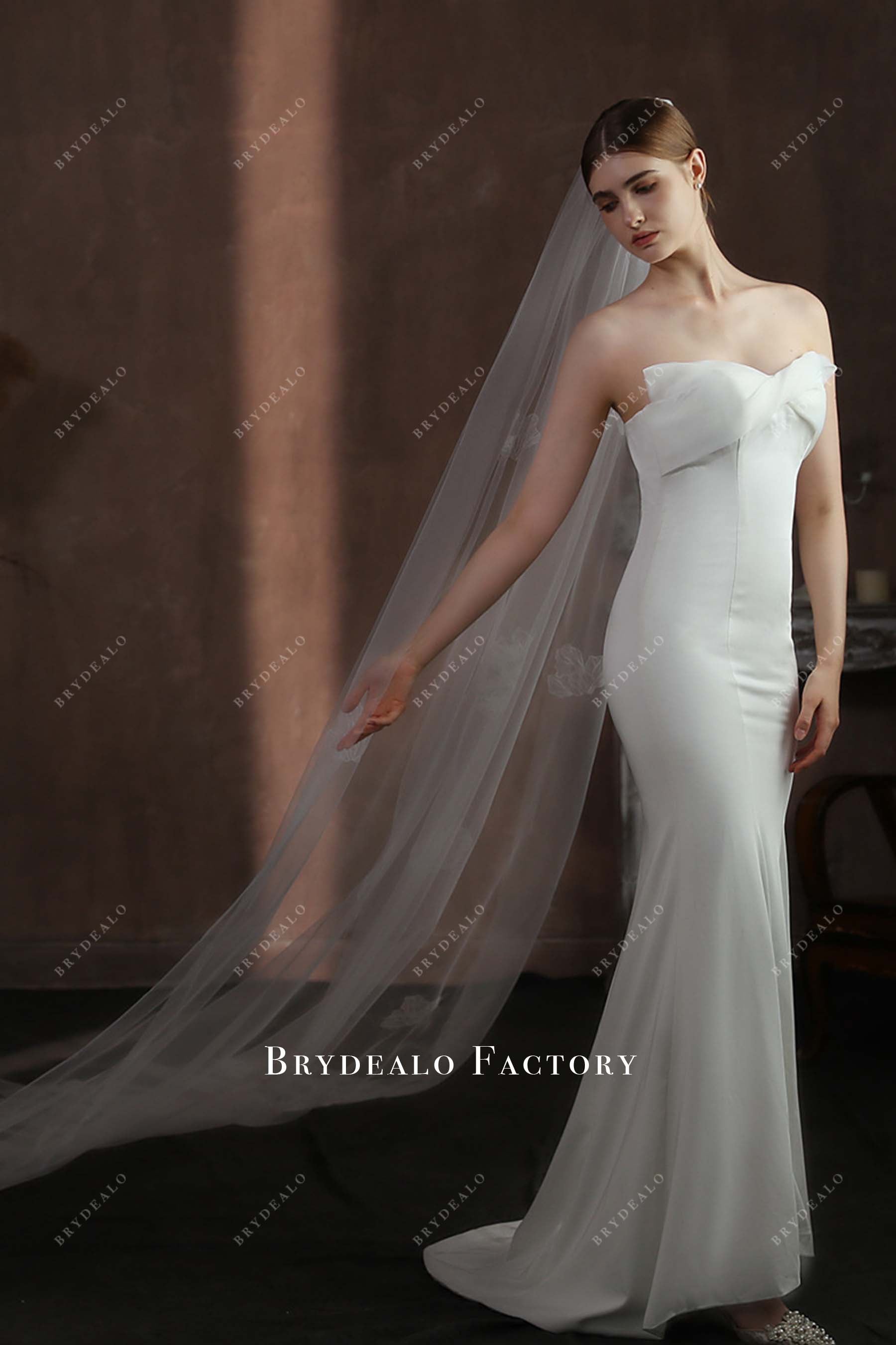 cathedral length wedding veil