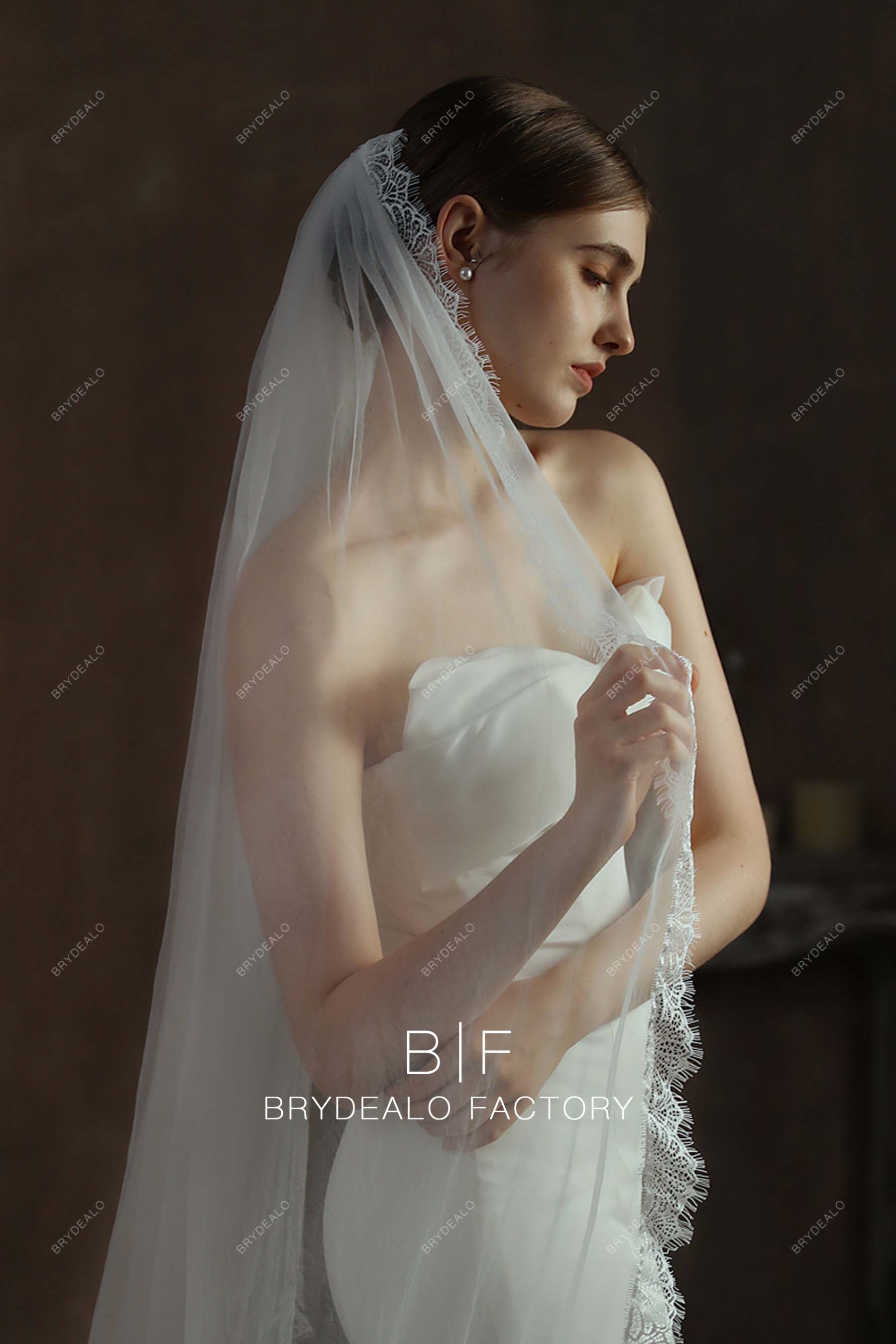 Elegant Lace Edge Single Tier Wedding Veil