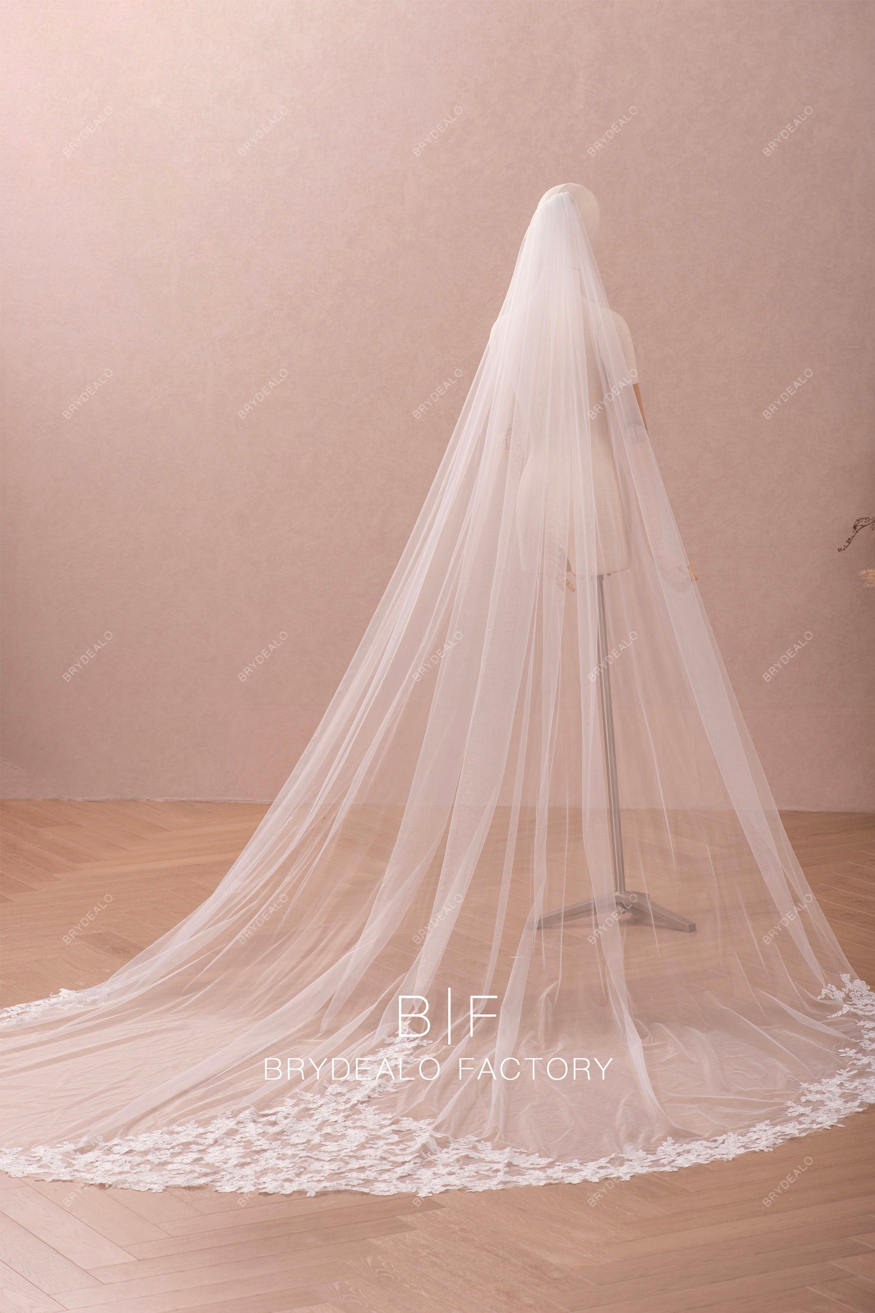 cathedral length tulle lace wedding veil