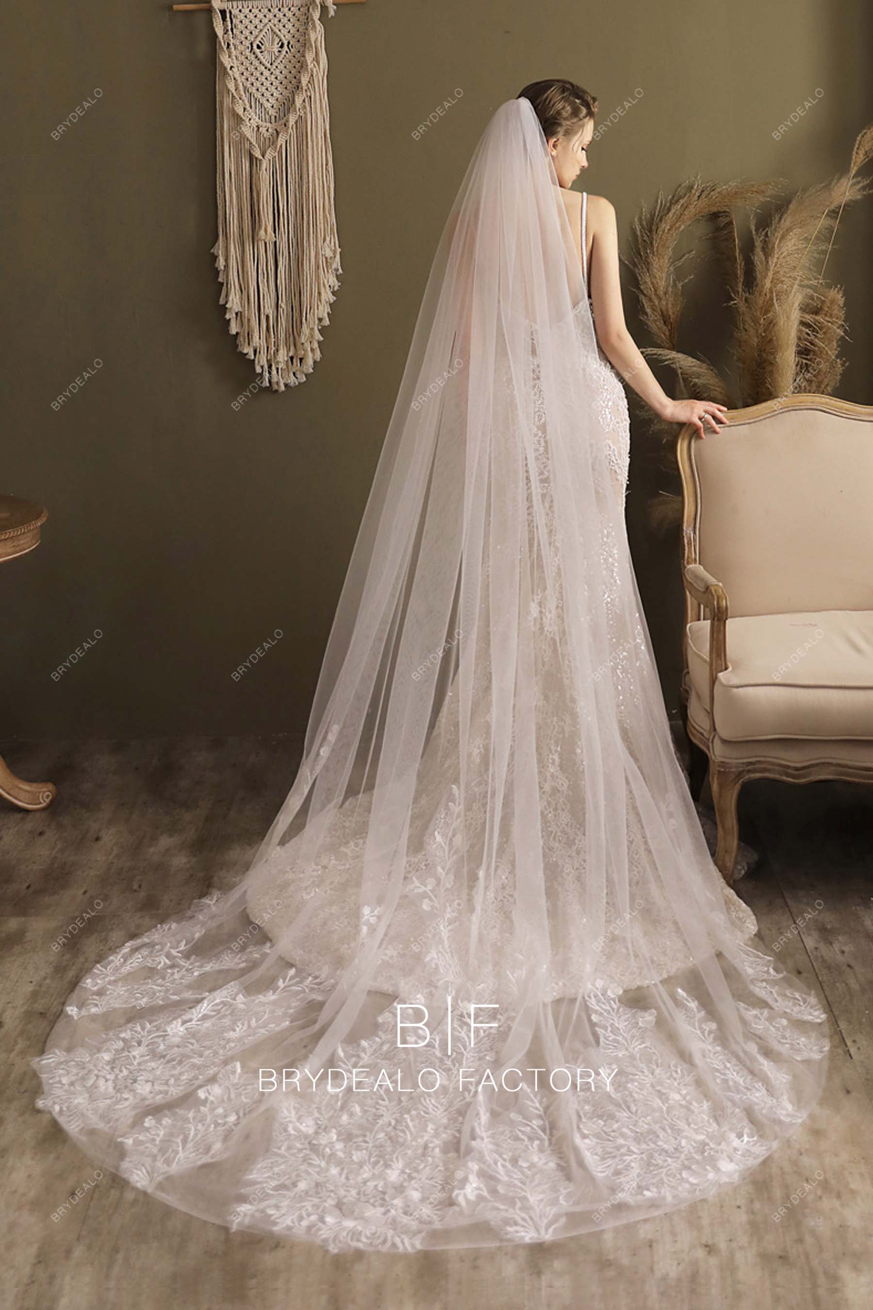 Affordable Lace Bridal Veils and Wedding Veil Long Length Tulle –  BestWeddingVeil