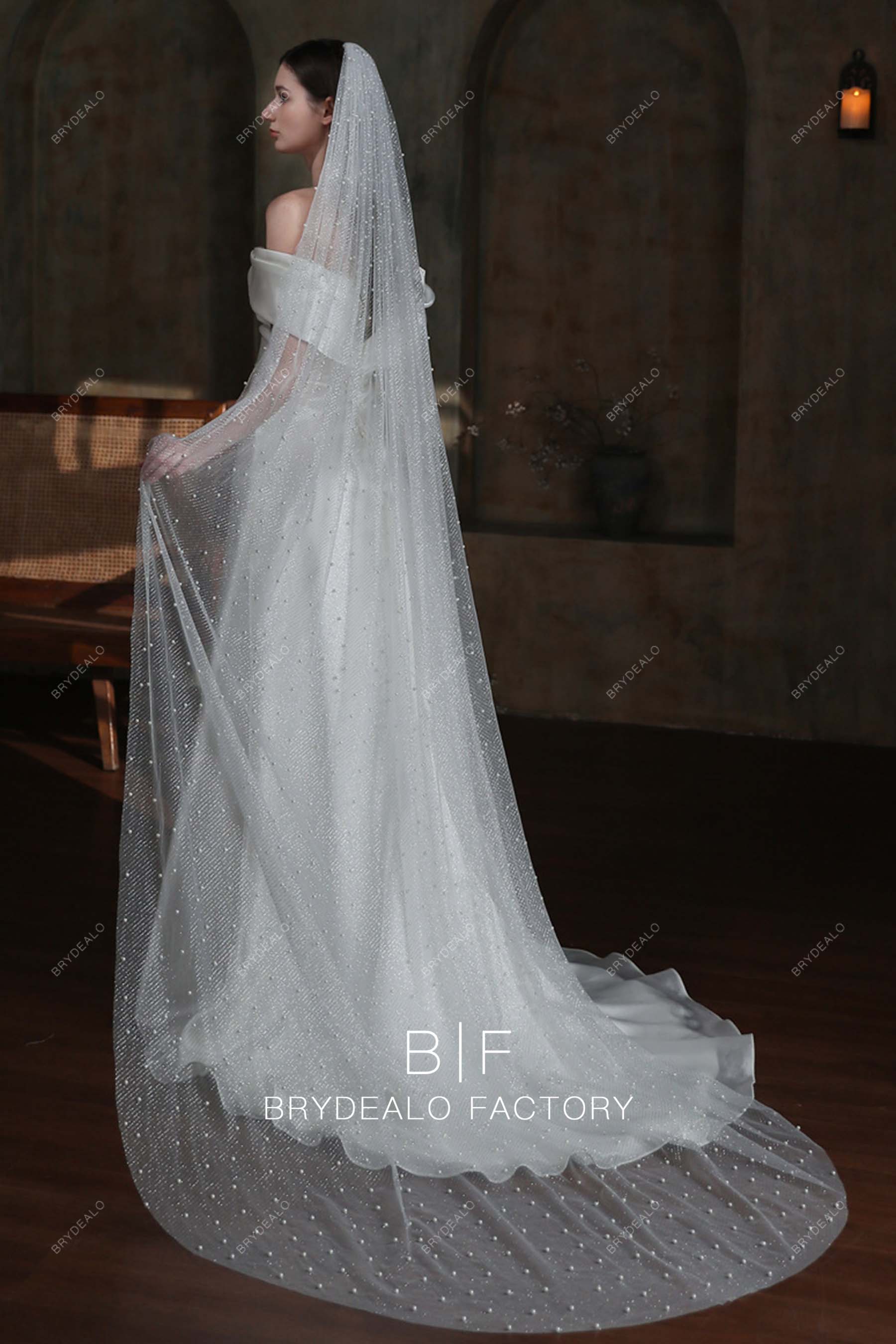 https://brydealofactory.com/cdn/shop/files/chapel-length-sparkly-veil-08182.jpg?v=1697103302&width=1800