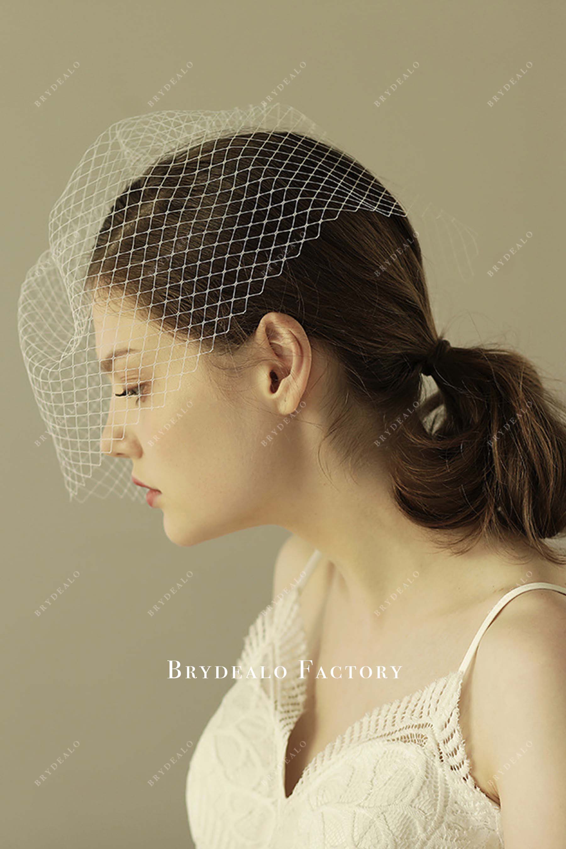 chic net birdcage bridal veil