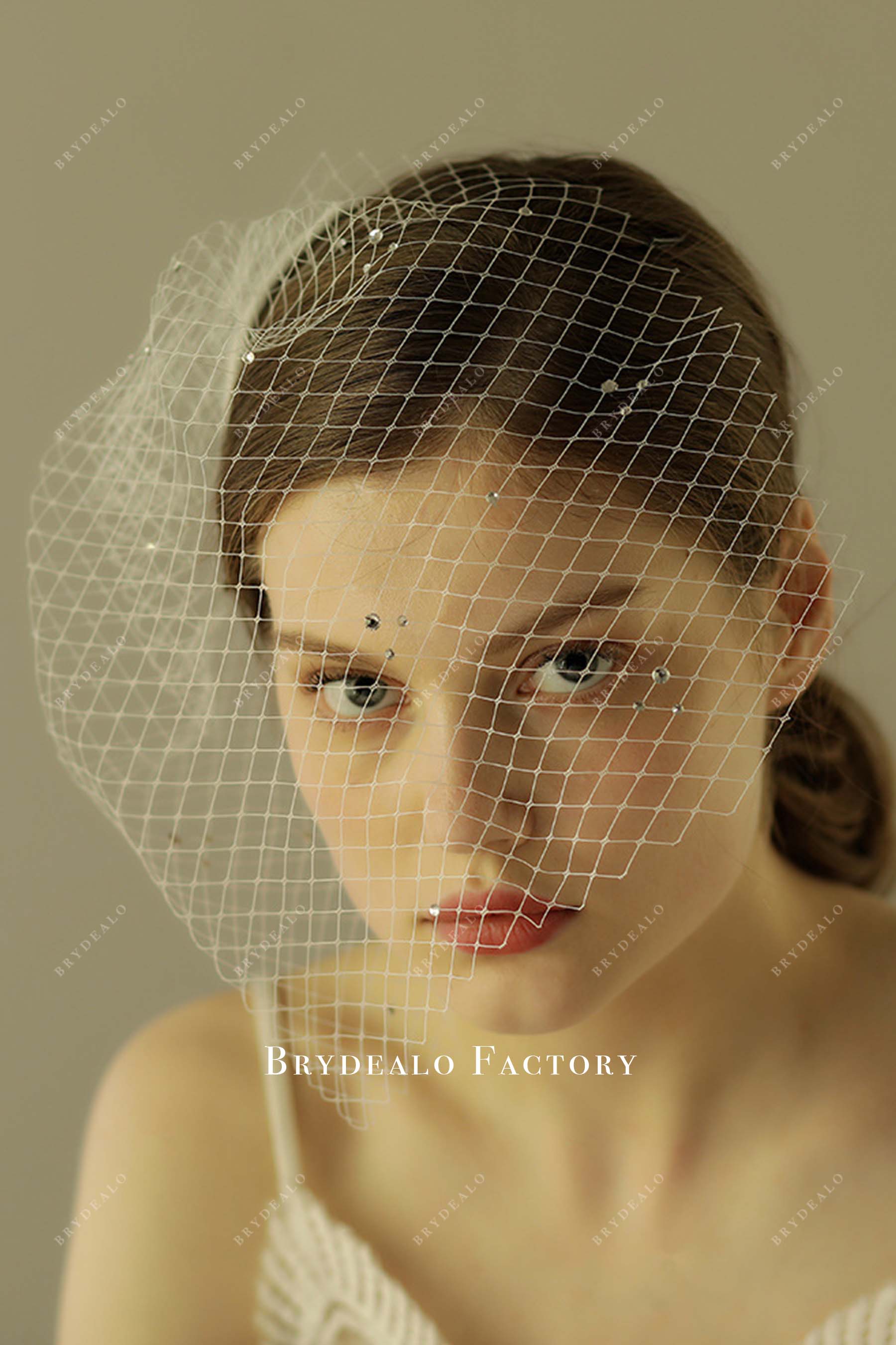 chic raw cut net birdcage bridal veil