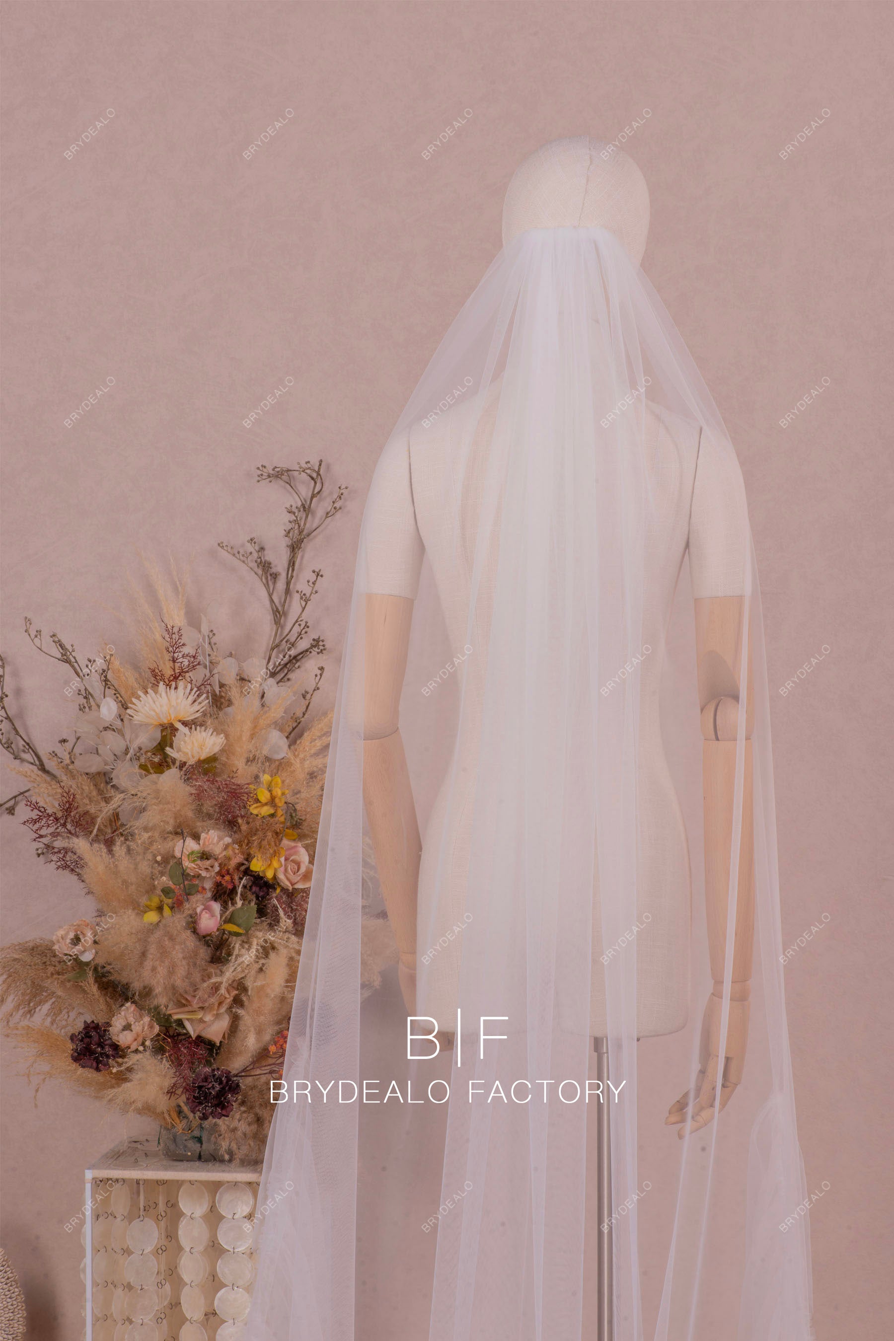 dreamy single-tier wedding veil