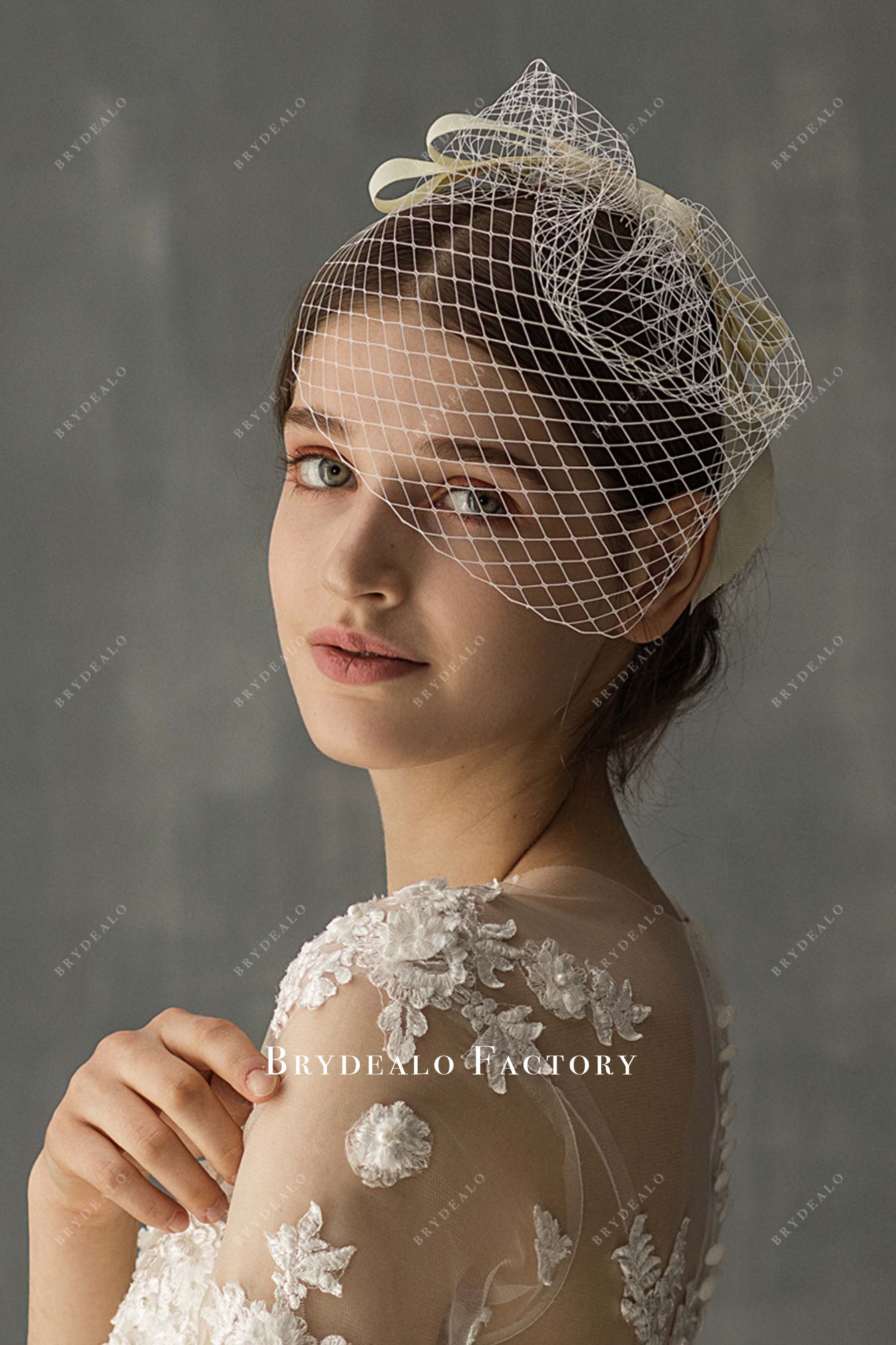 elegant net bridal veil