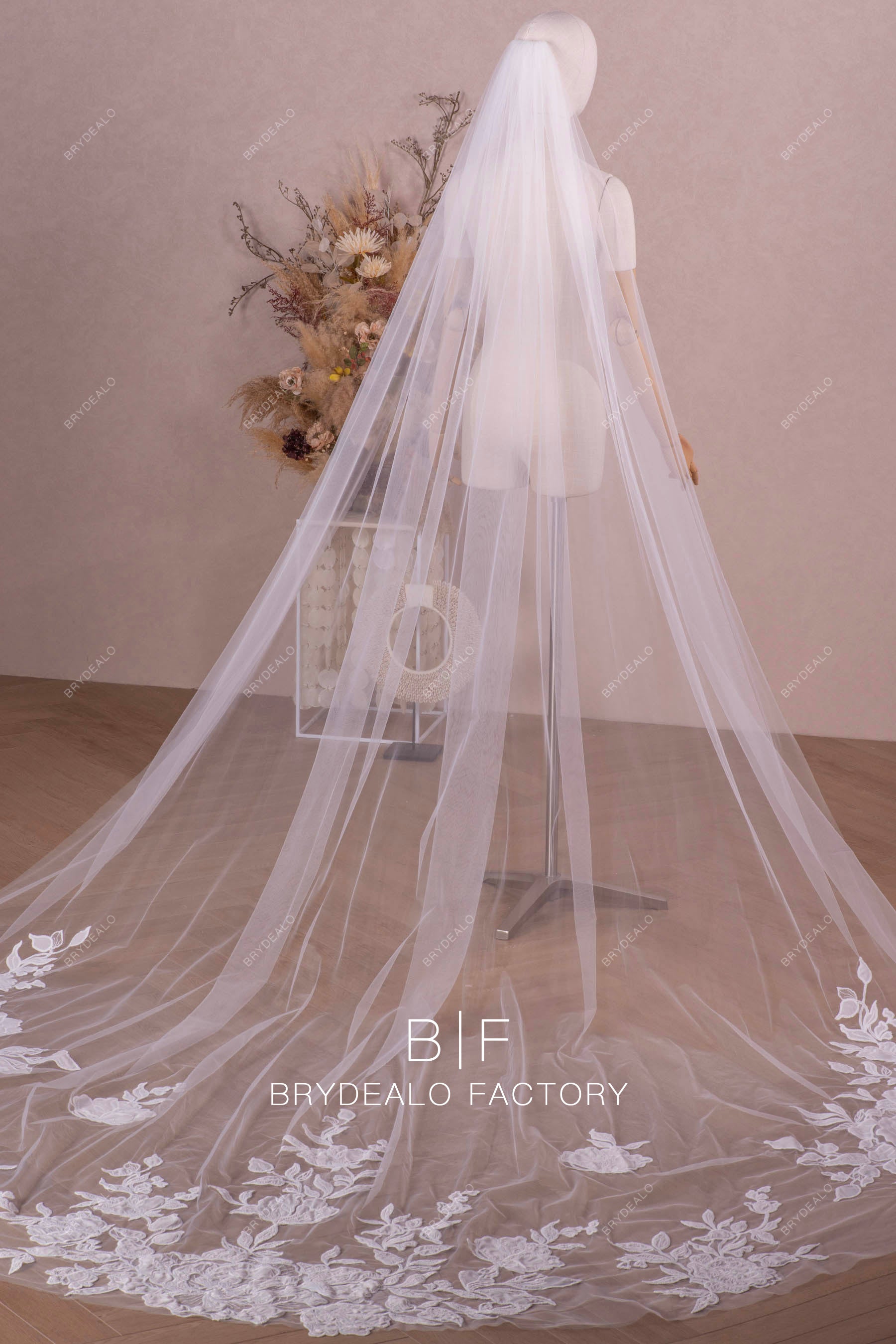embroidered chiffon lace bridal veil